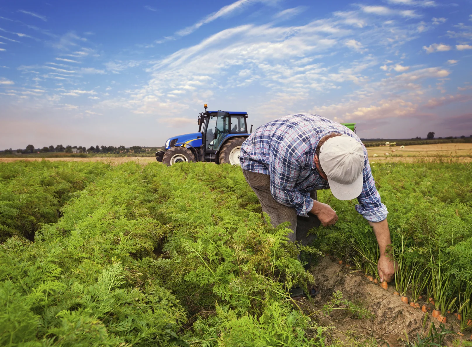 iStock_farmerinfield_Medium.jpg