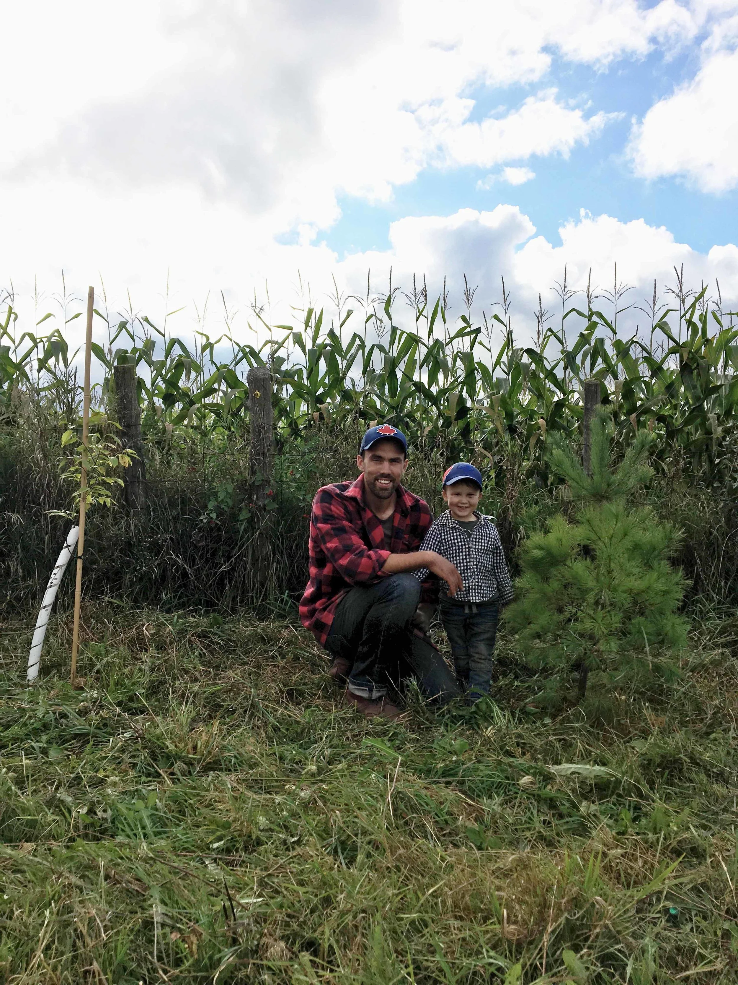 Patrick and Wyatt Kitchen in front of the new windbreak on Sideroad Farms . The trees and vegetation will need to grow for several years before they mature and can act as a habitat.