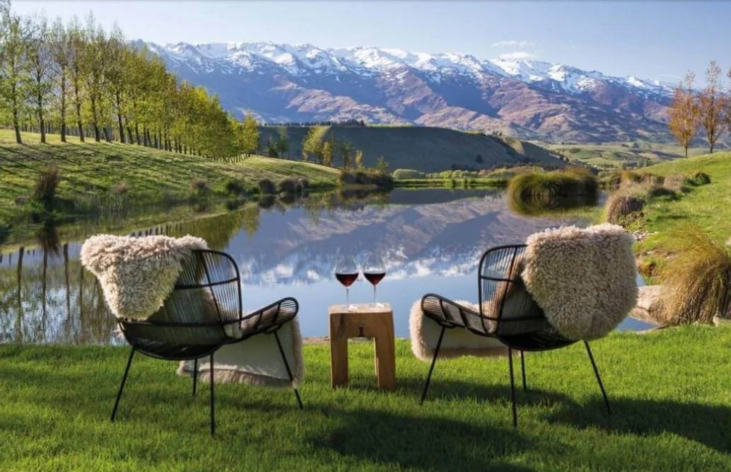 New Zealand scenery with wine.JPG