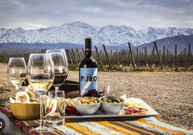 South America, wine, food and Andes in background.JPG