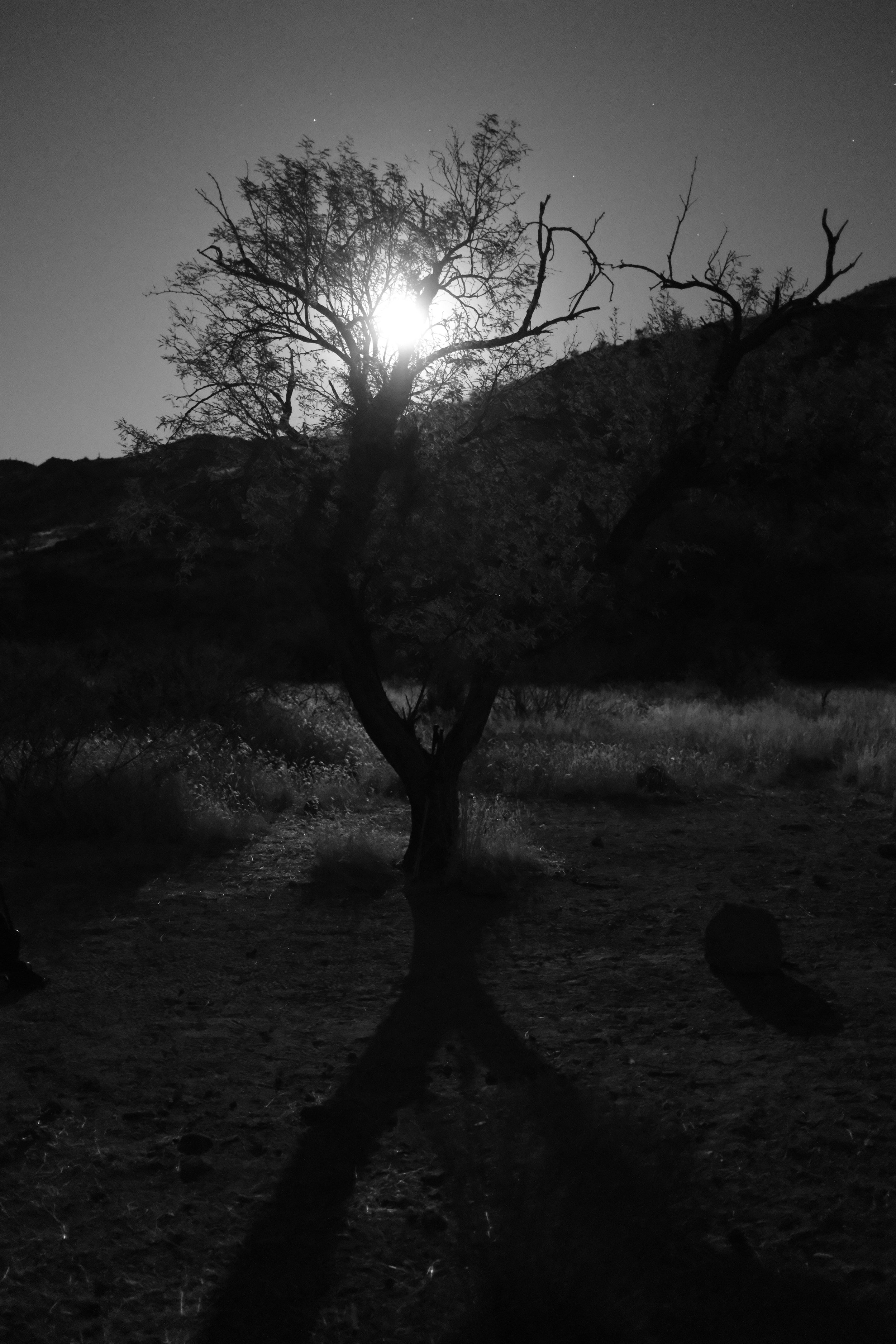 4815E195-483C-4ACA-910D-6B6D5A97A323.jpeg