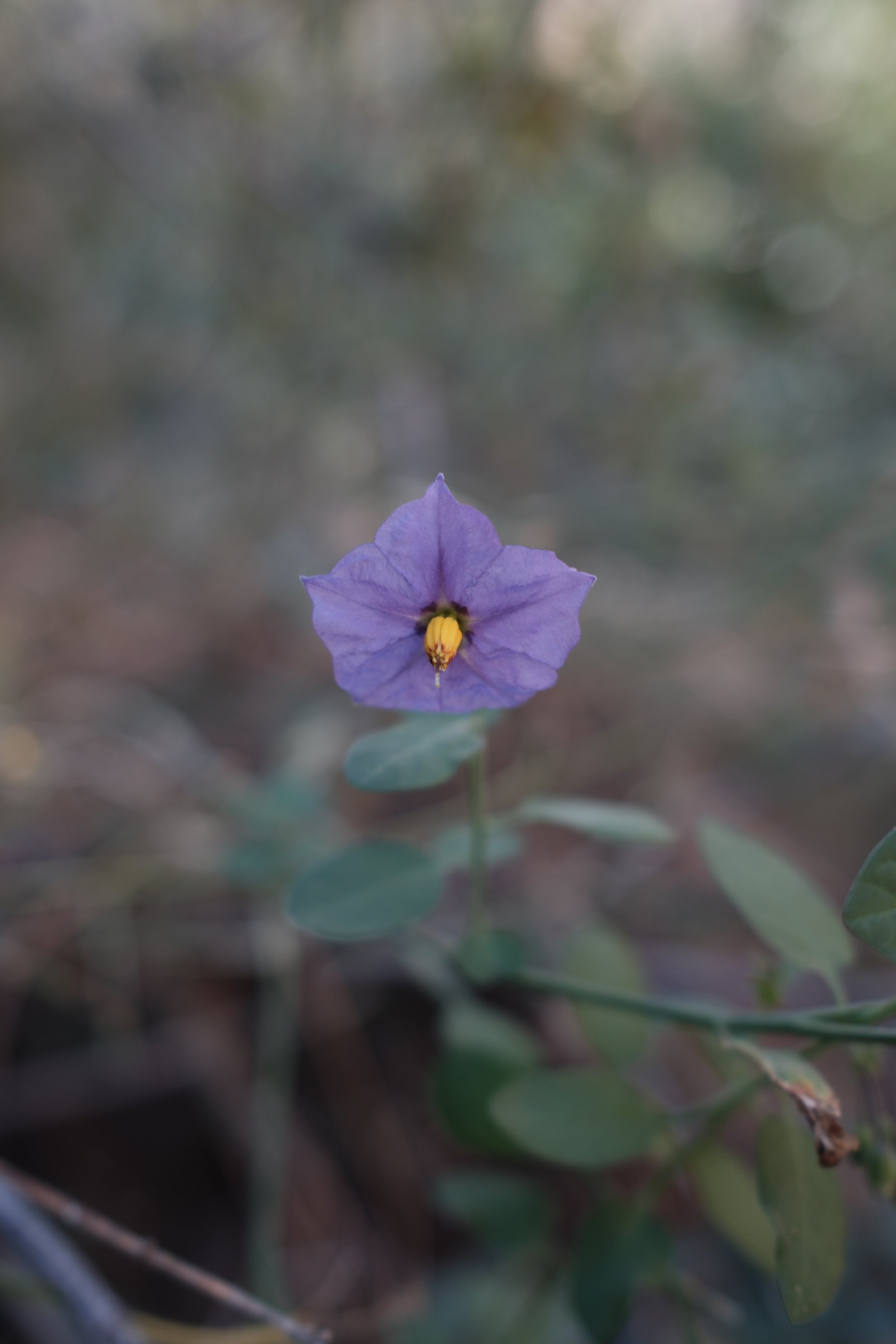B2F81078-D7A2-4A30-885D-47362F95F10D.jpeg