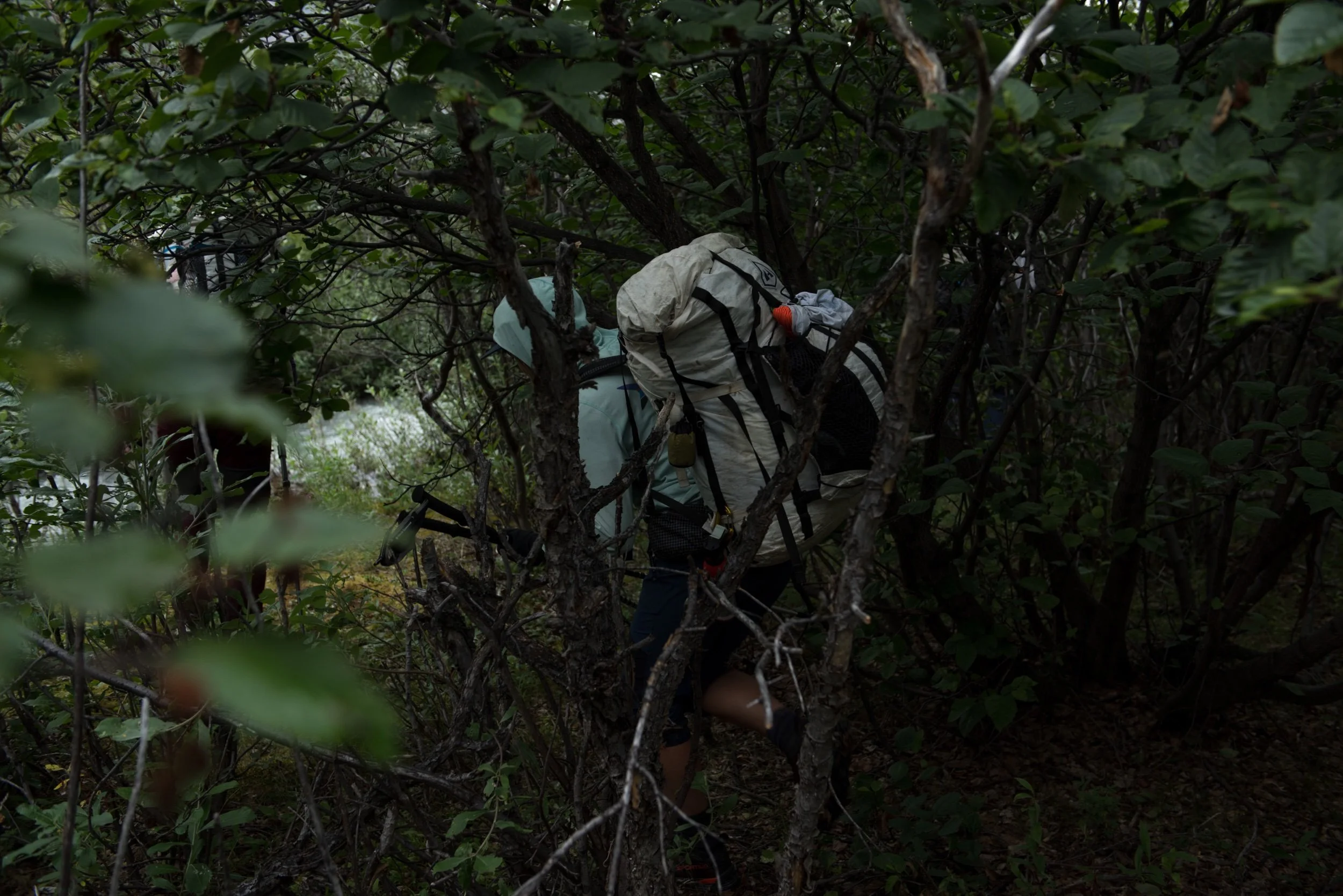 Brooks for tom-3.jpeg