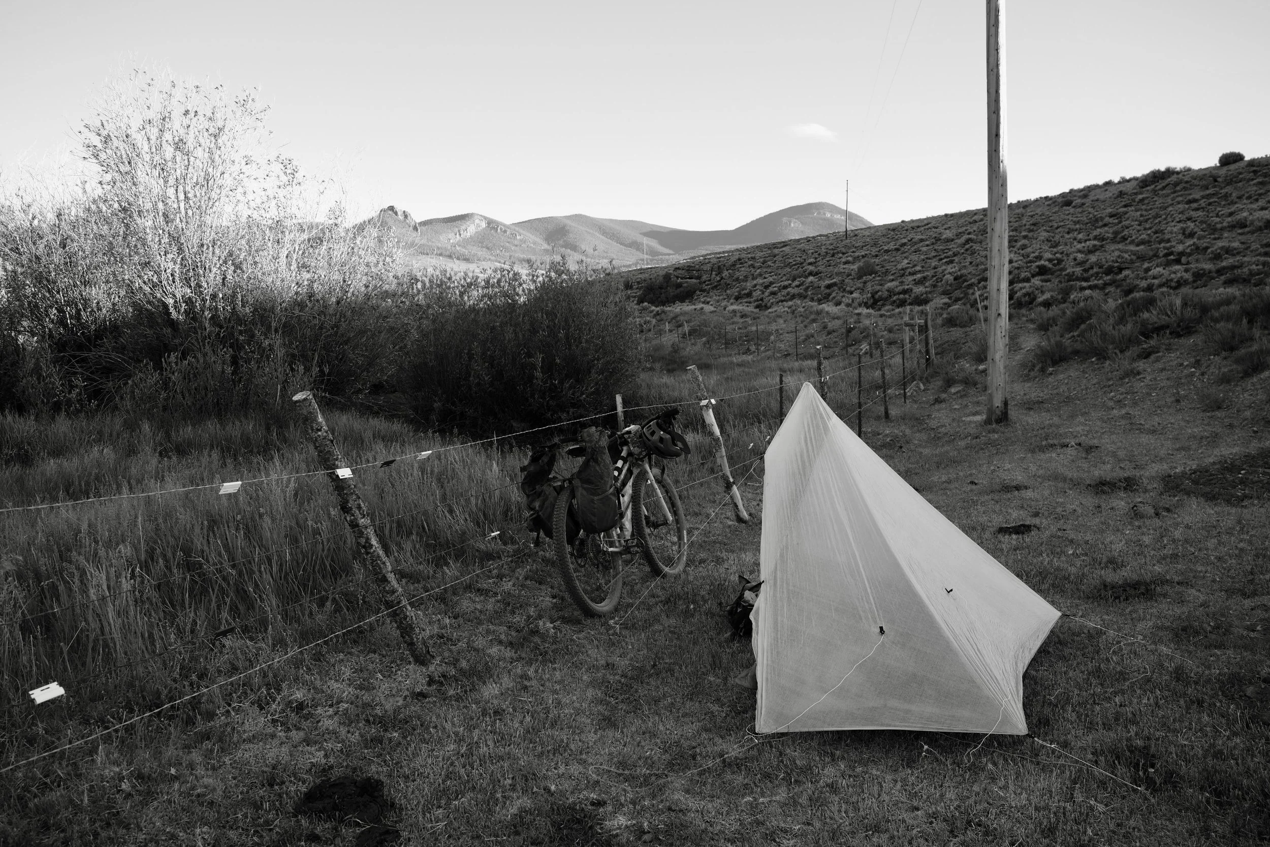 DSCF6368.jpg