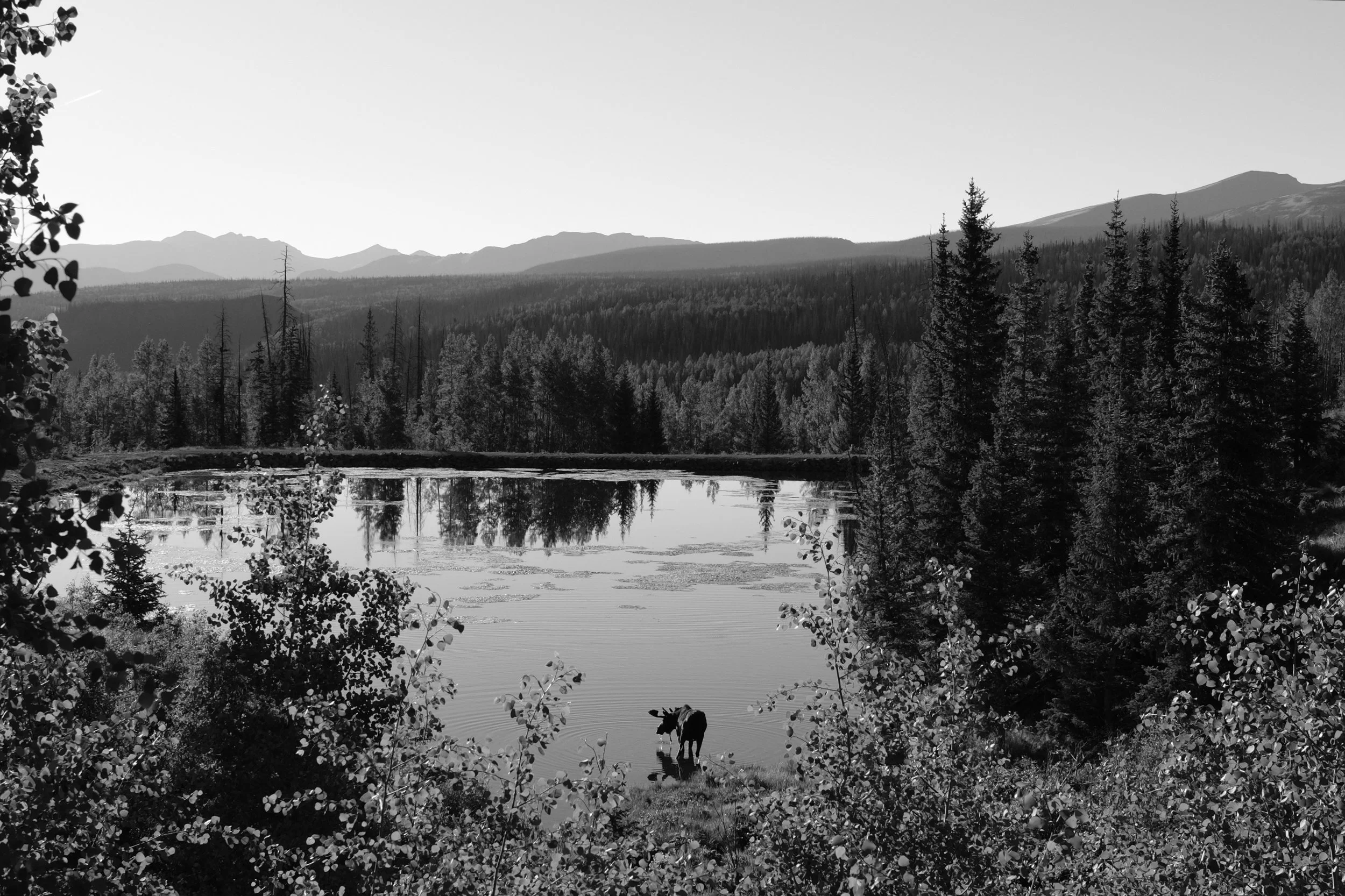 DSCF6345.jpg