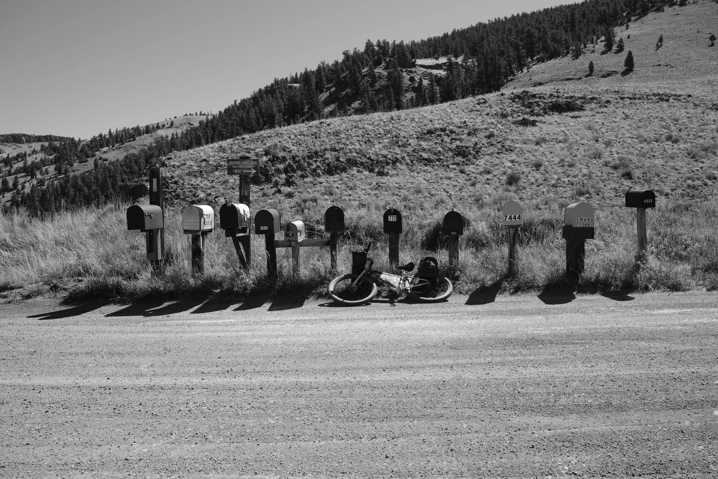 DSCF6351.jpg