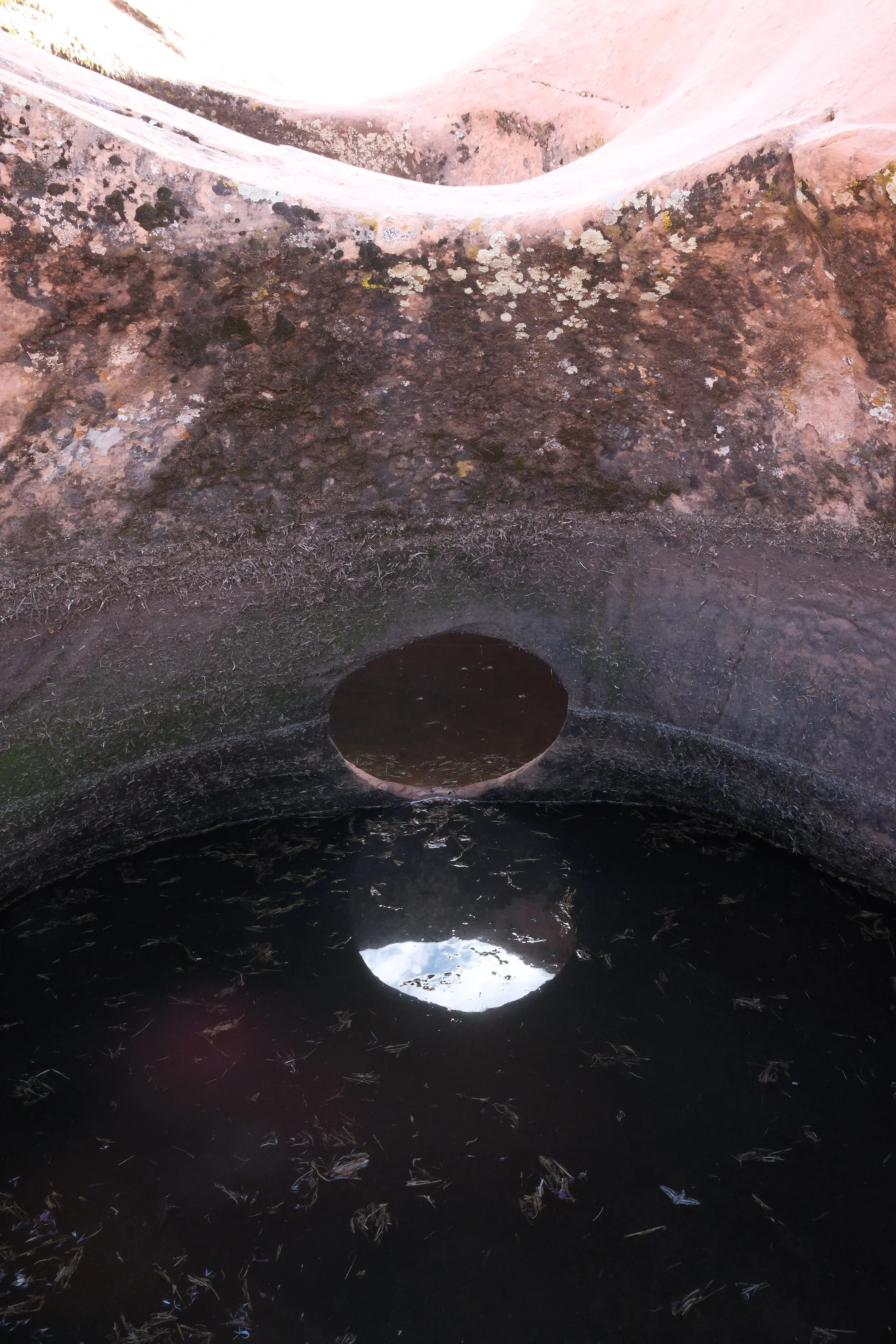 DSCF5941.jpg