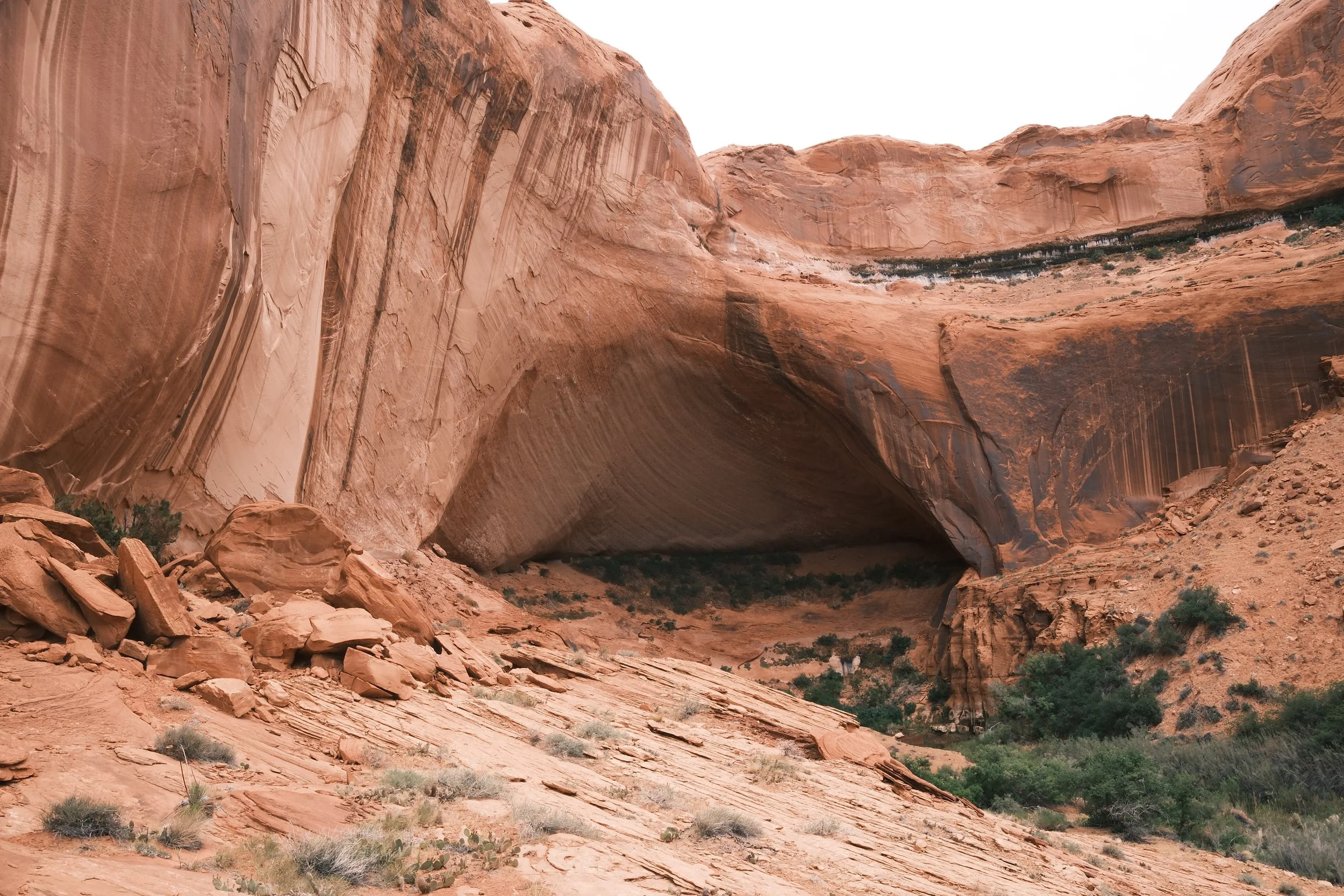 DSCF6176.jpg