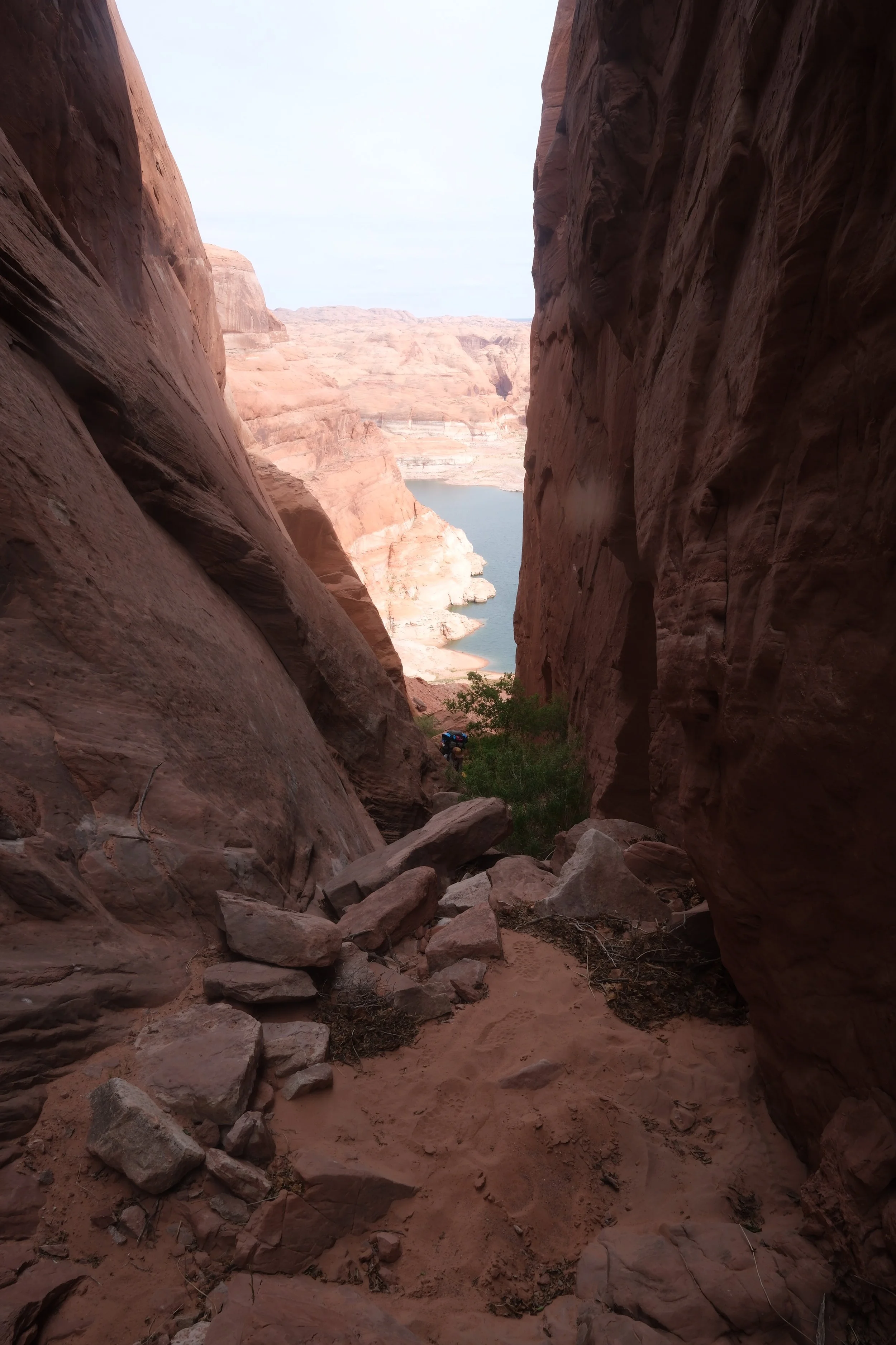DSCF6220.jpg