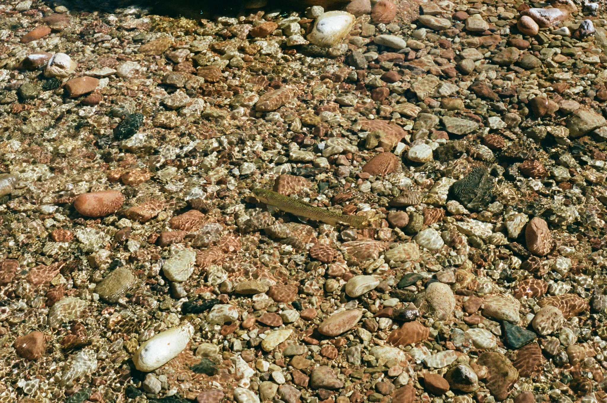 000453020007.jpg