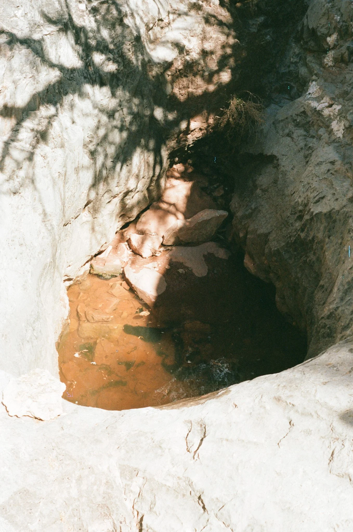 000453020020.jpg