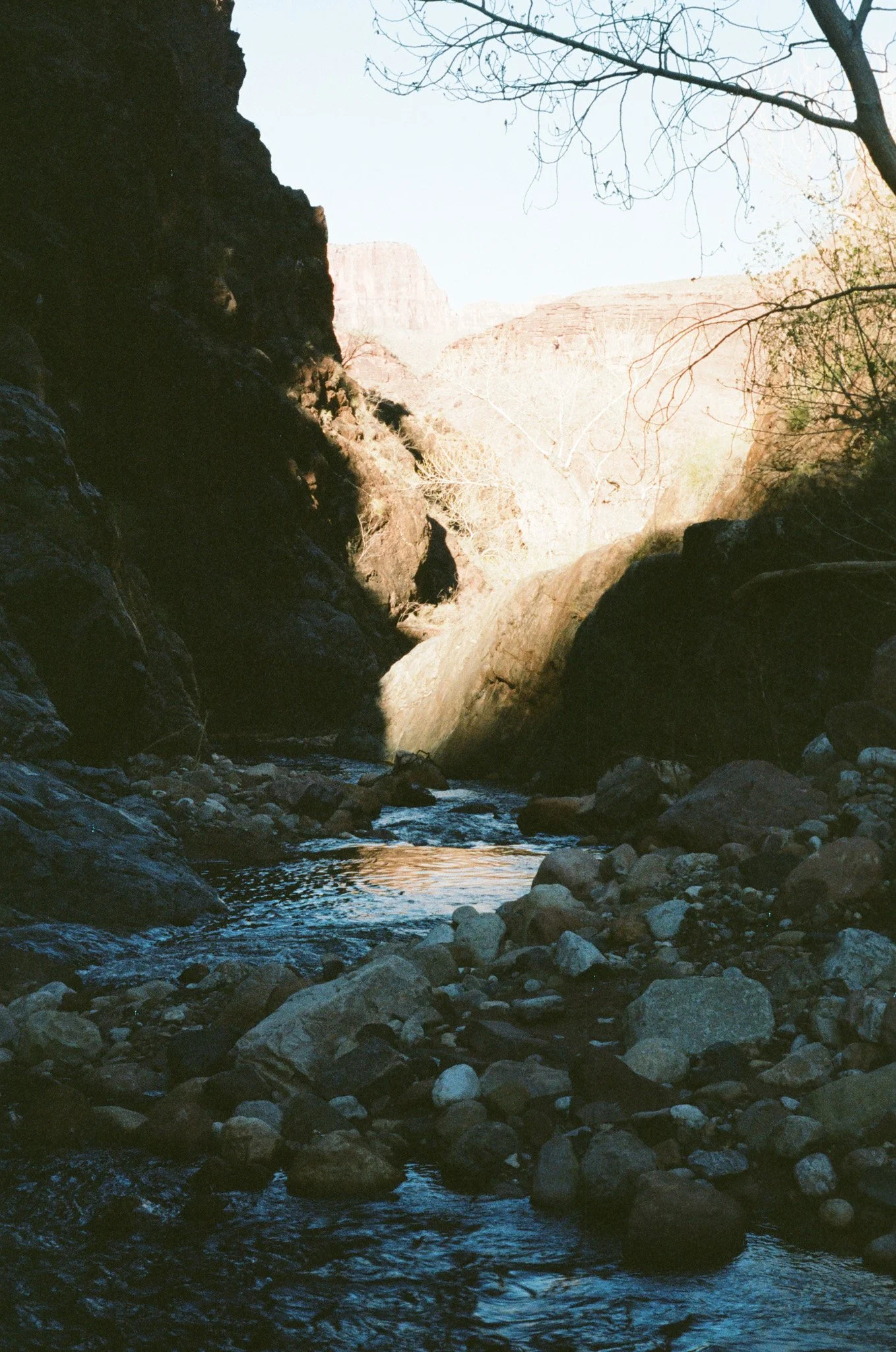 000453020027.jpg