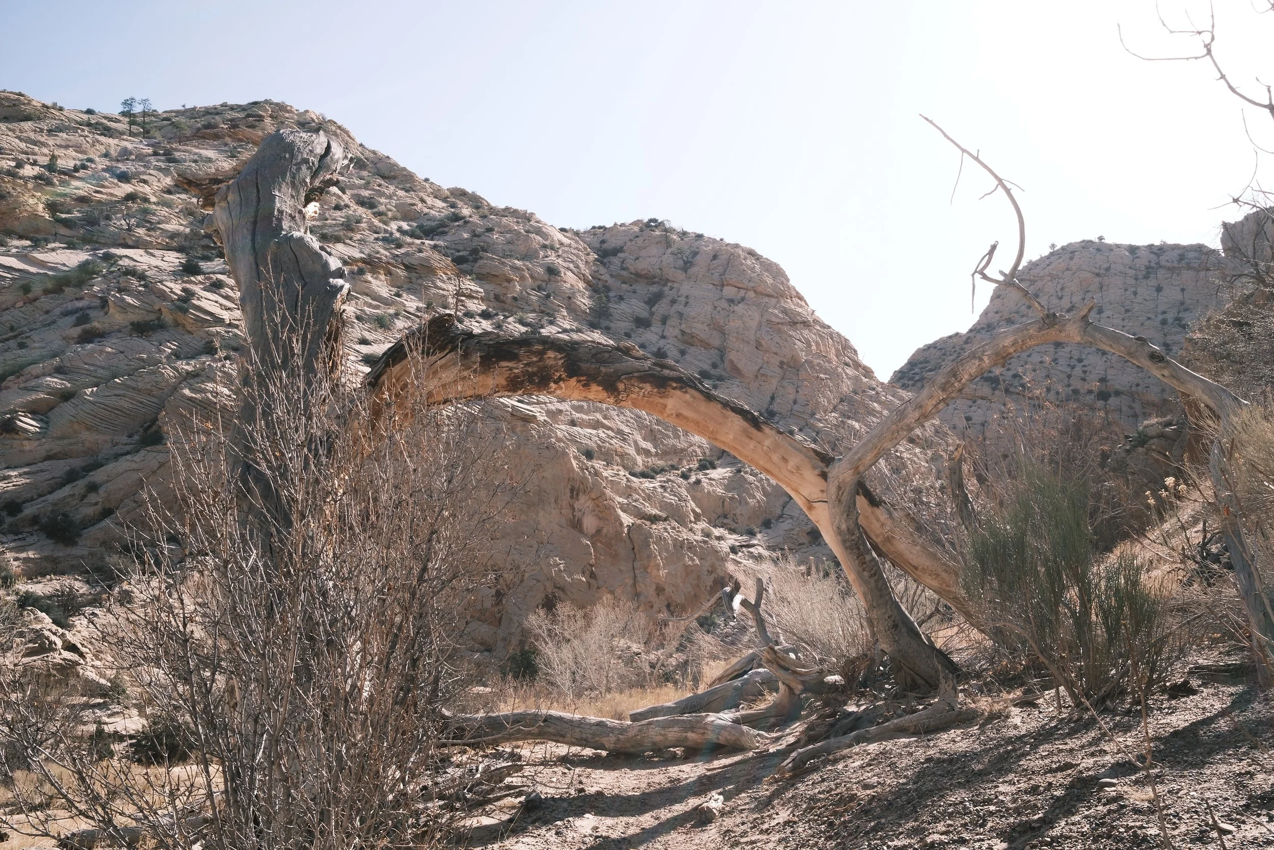 DSCF2086.jpg