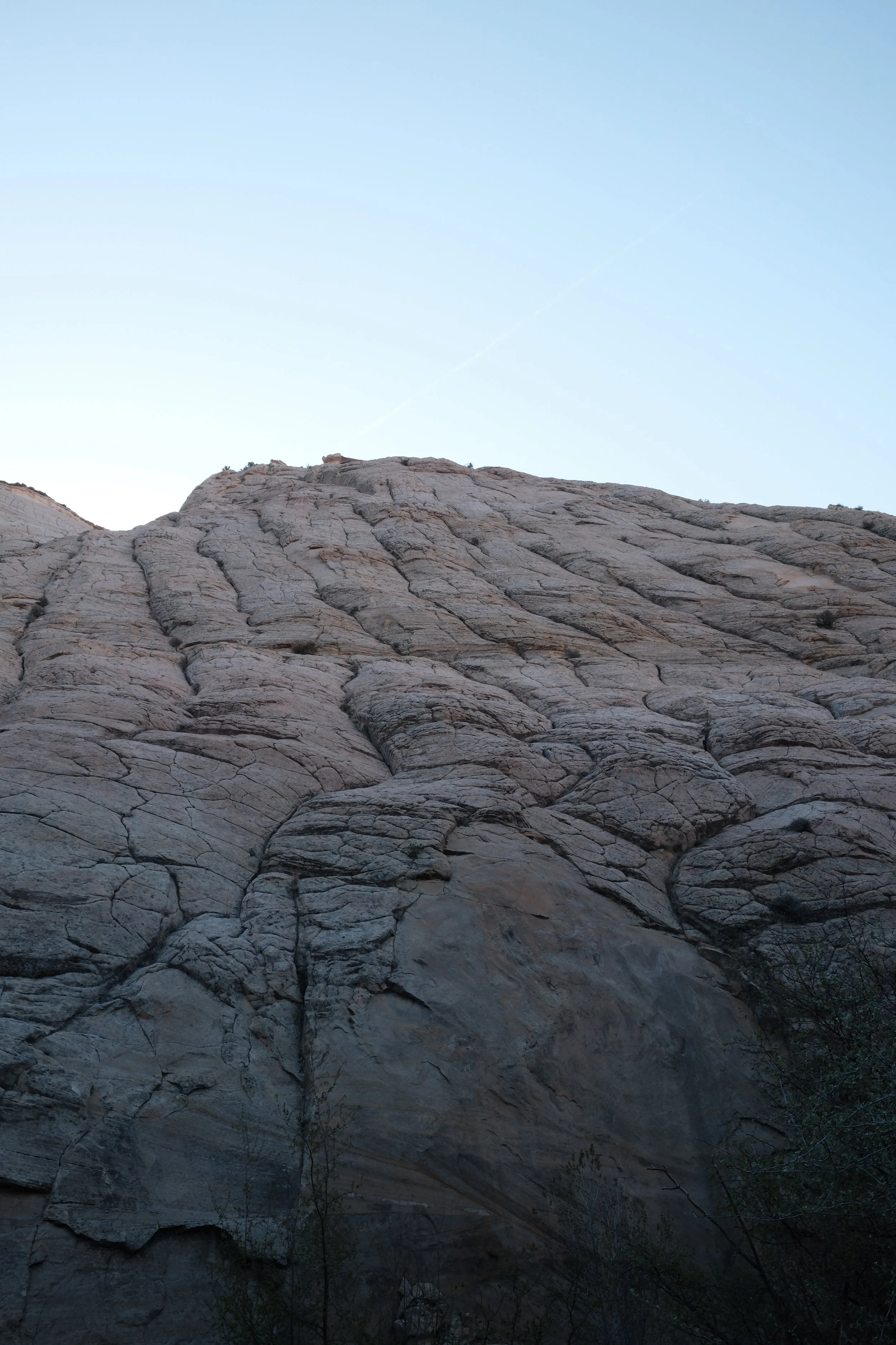 DSCF2148.jpg