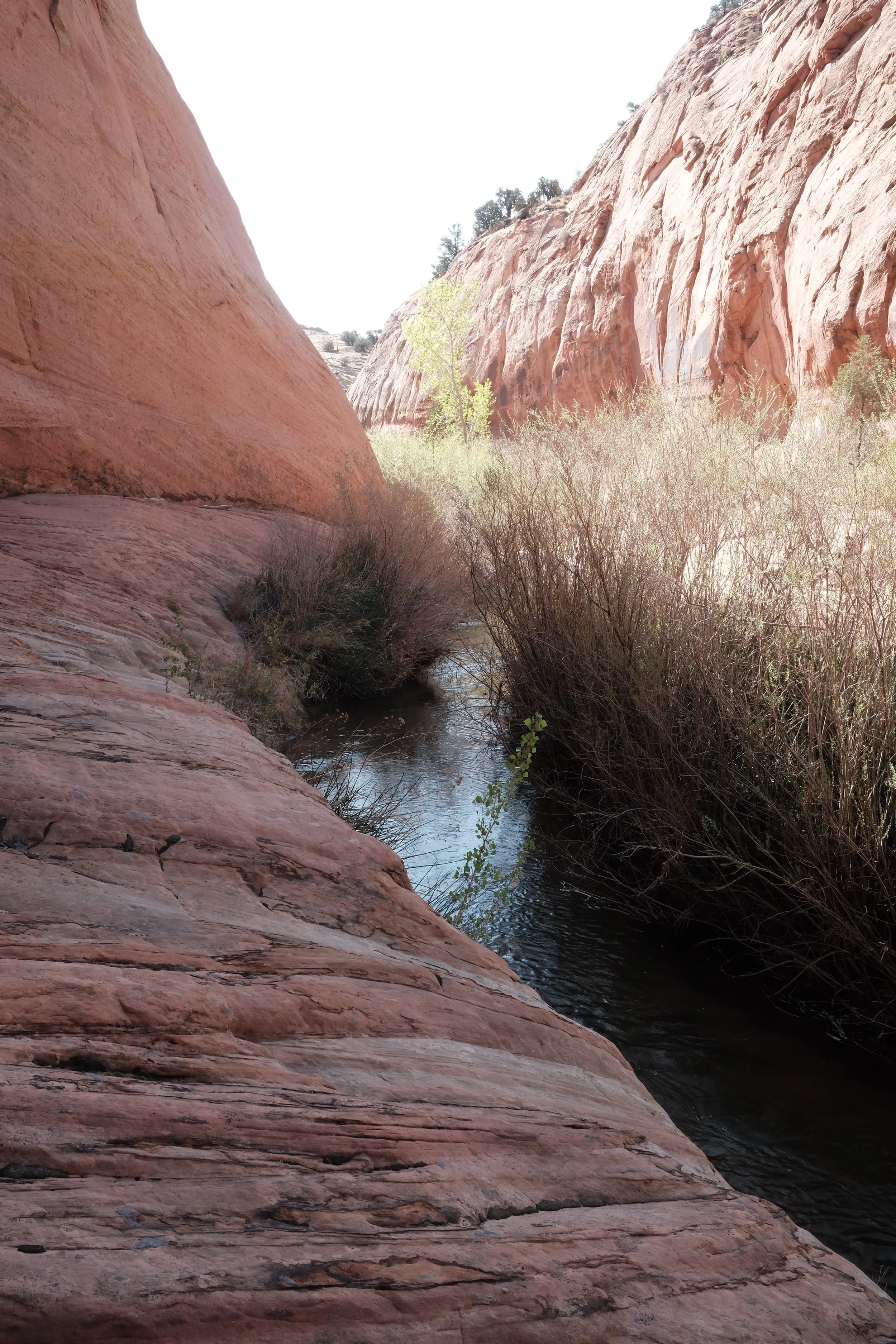 DSCF2153.jpg