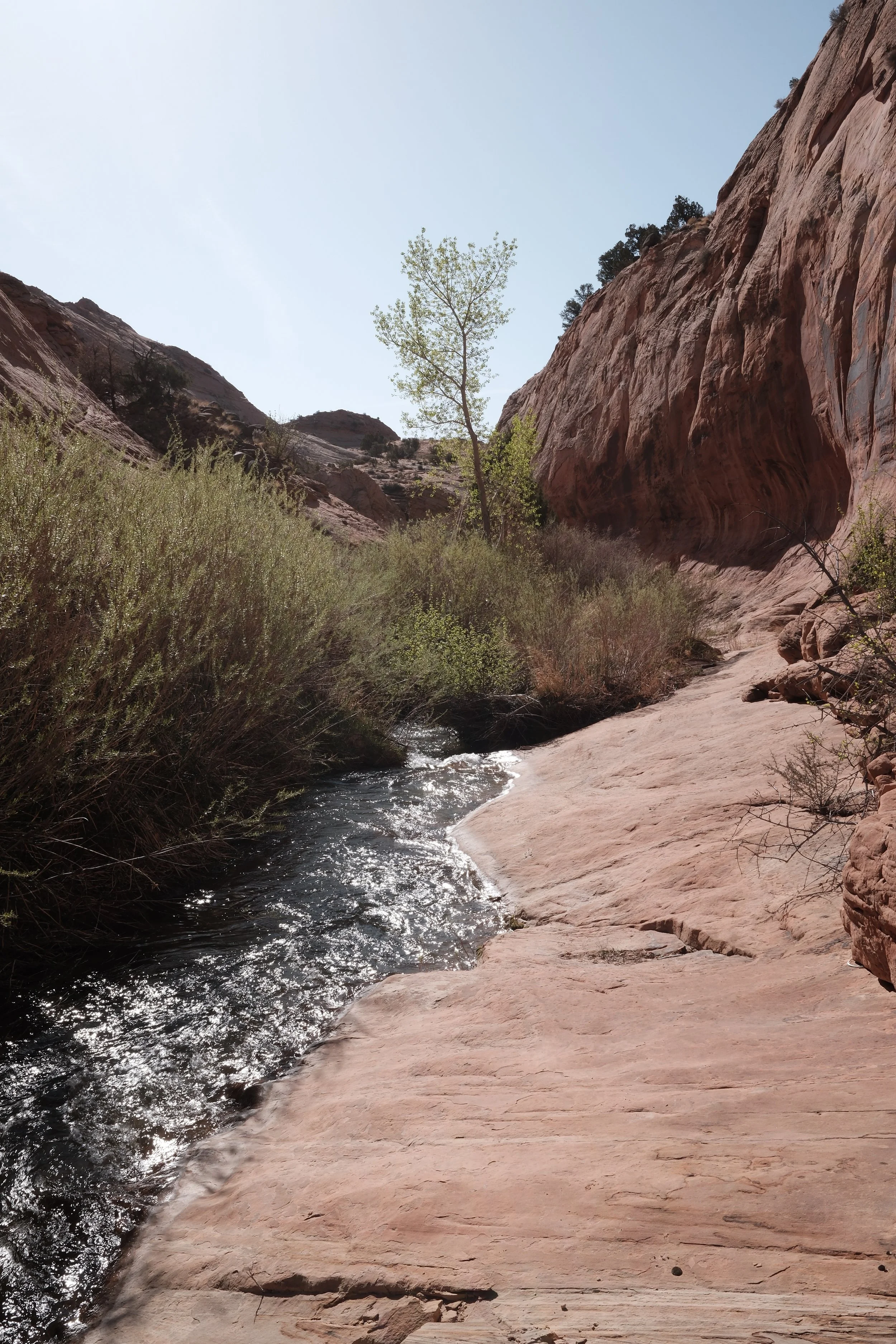 DSCF2154.jpg