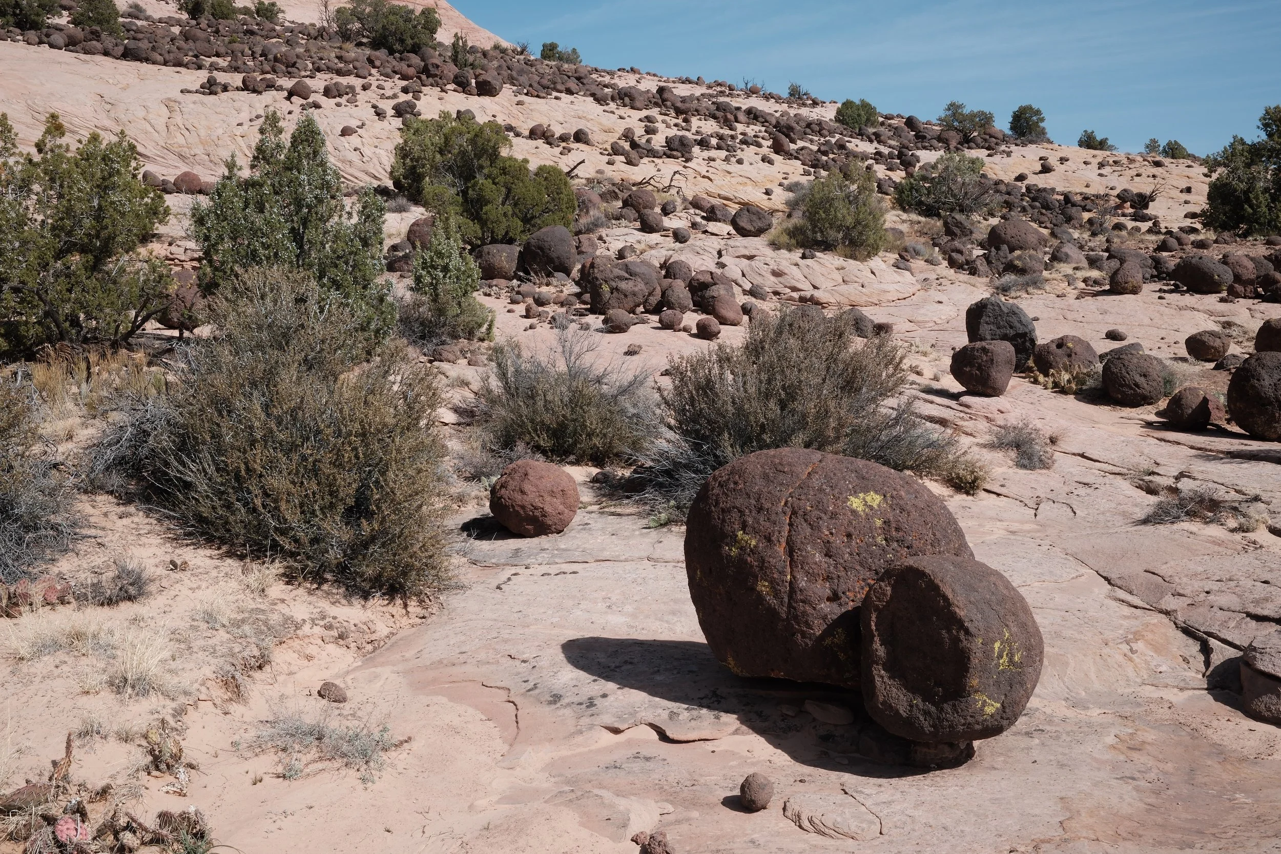 DSCF2156.jpg
