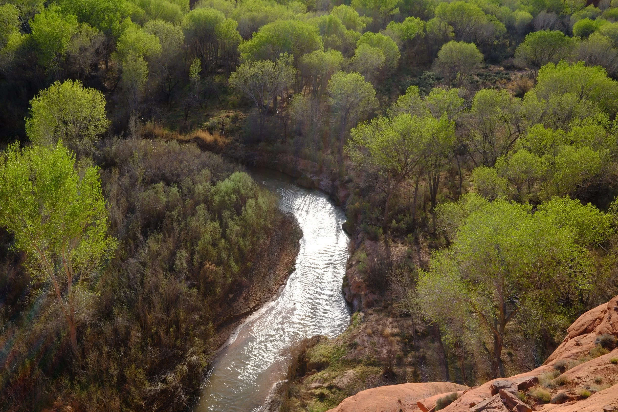 DSCF2243.jpg