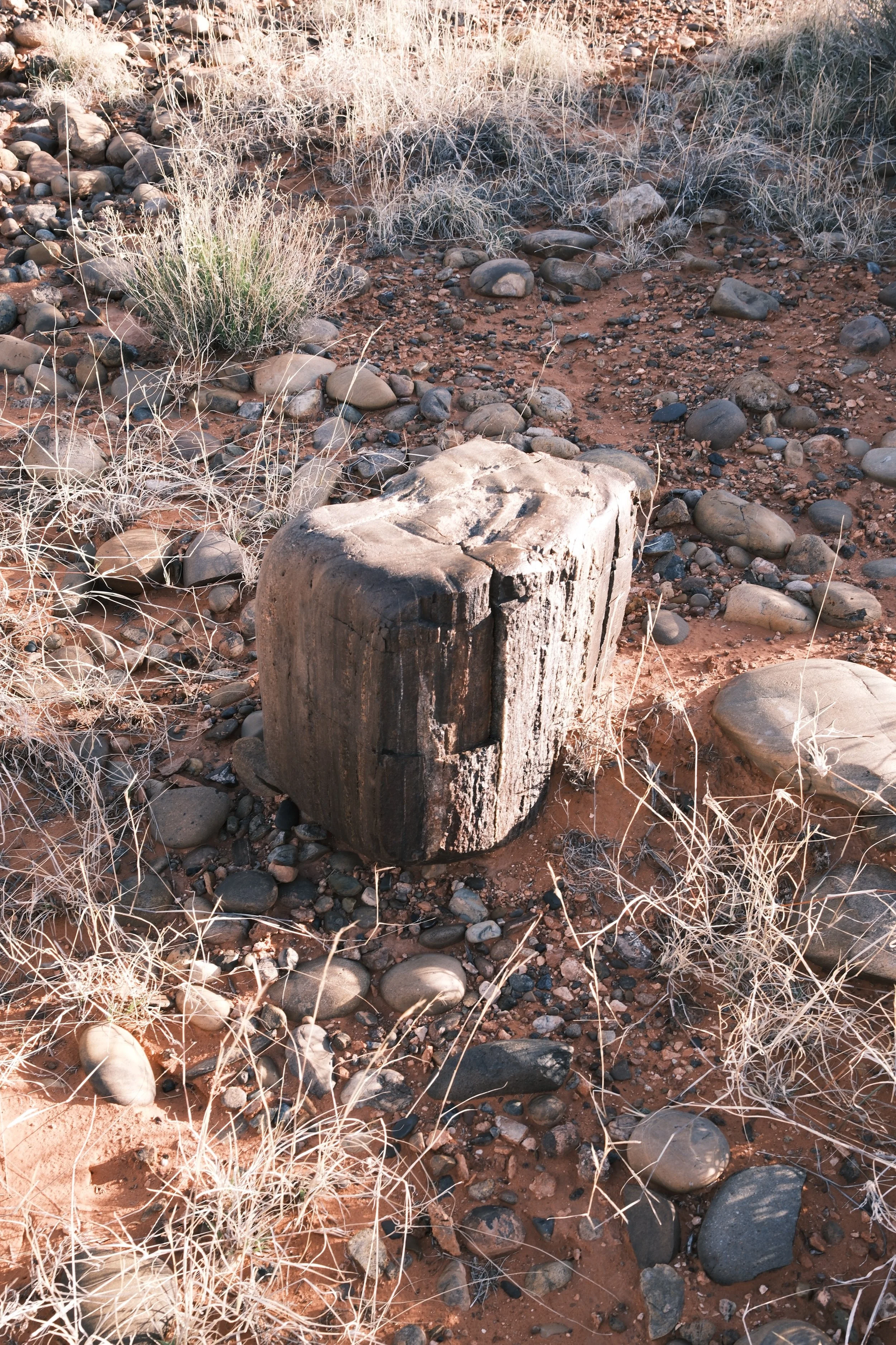 DSCF2277.jpg