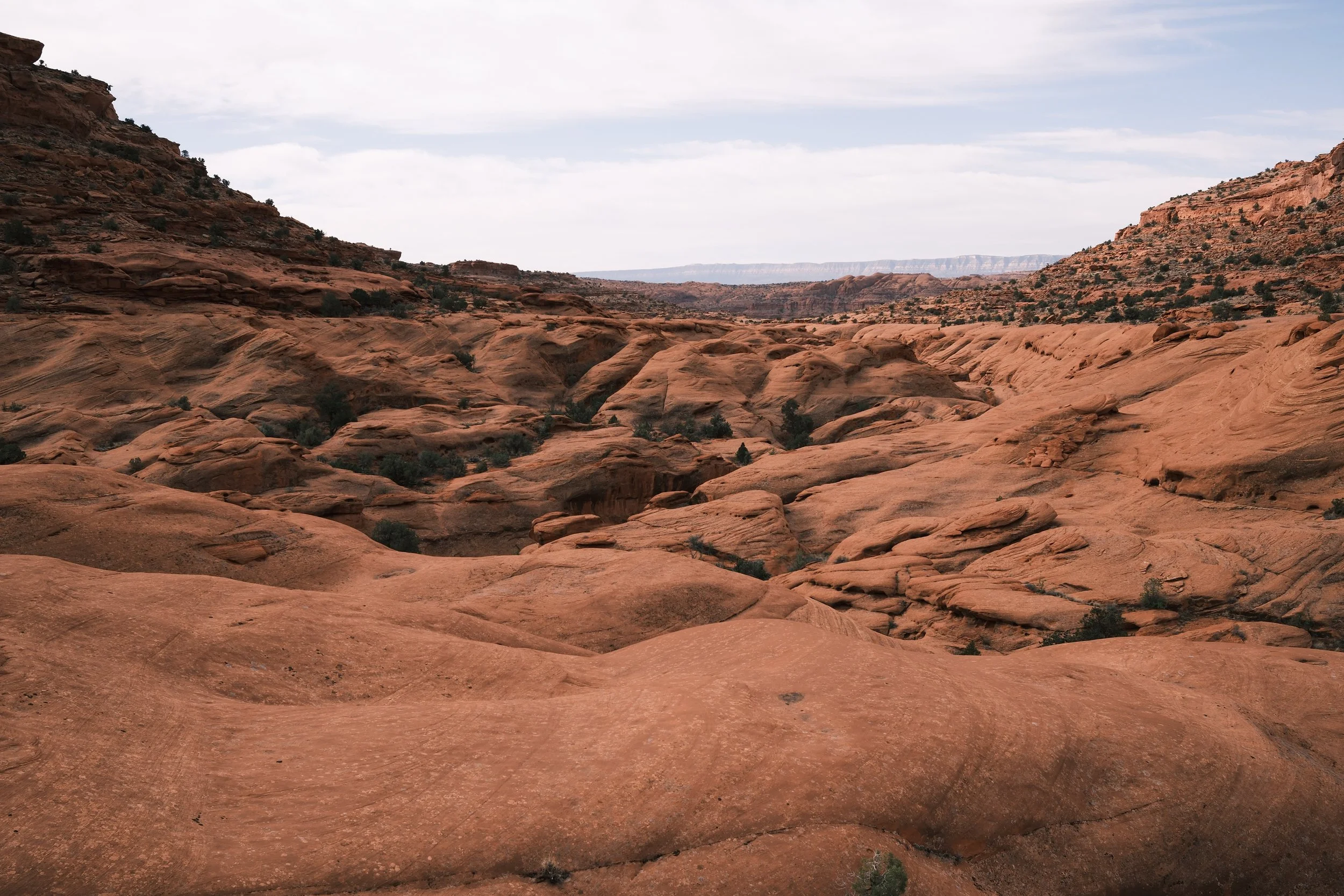 DSCF2281.jpg