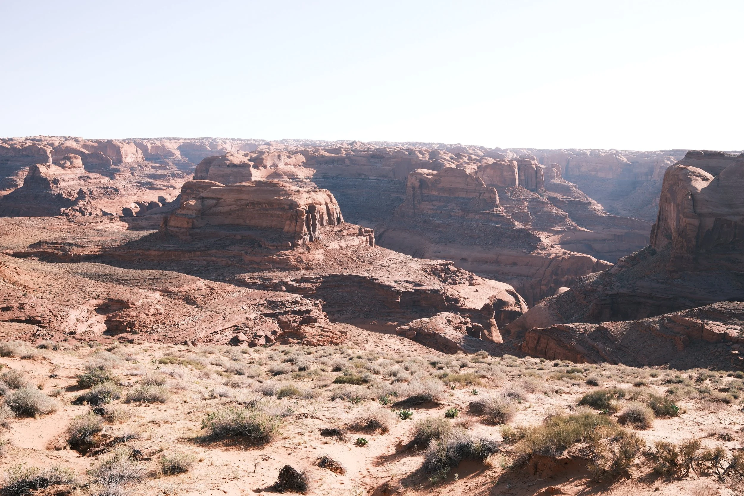 DSCF2321.jpg