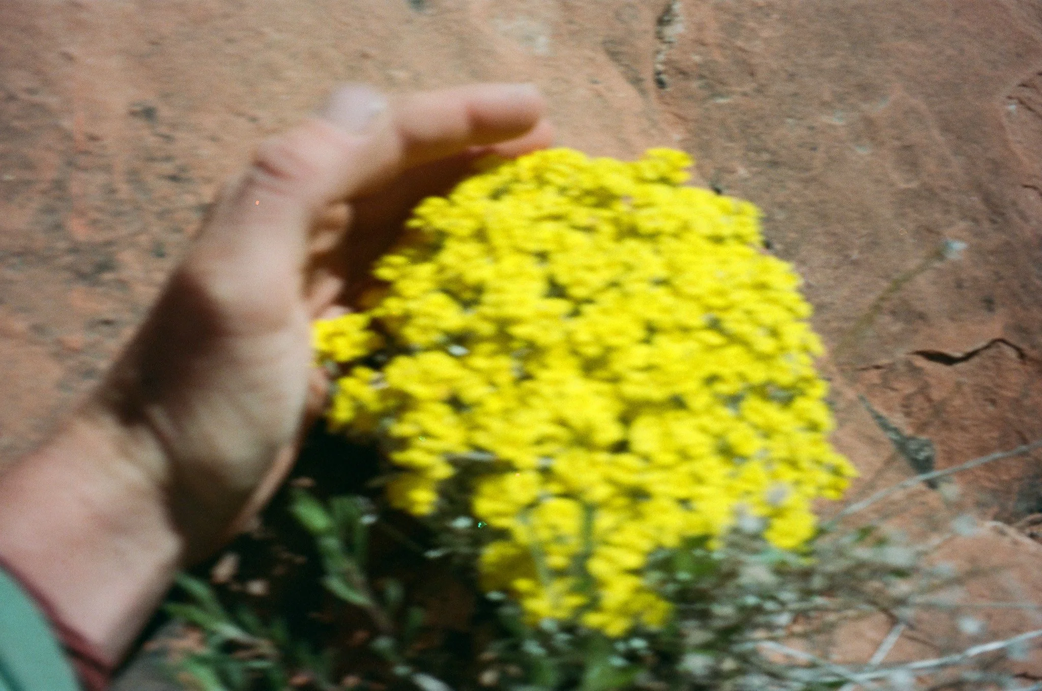 000376600024.jpg