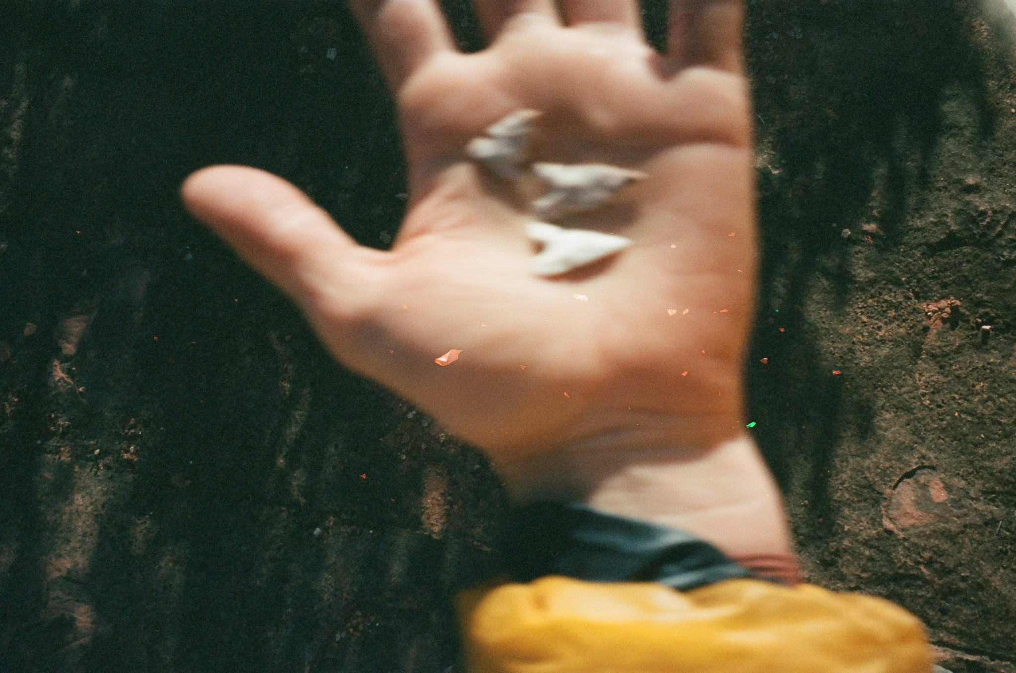 000376600035.jpg