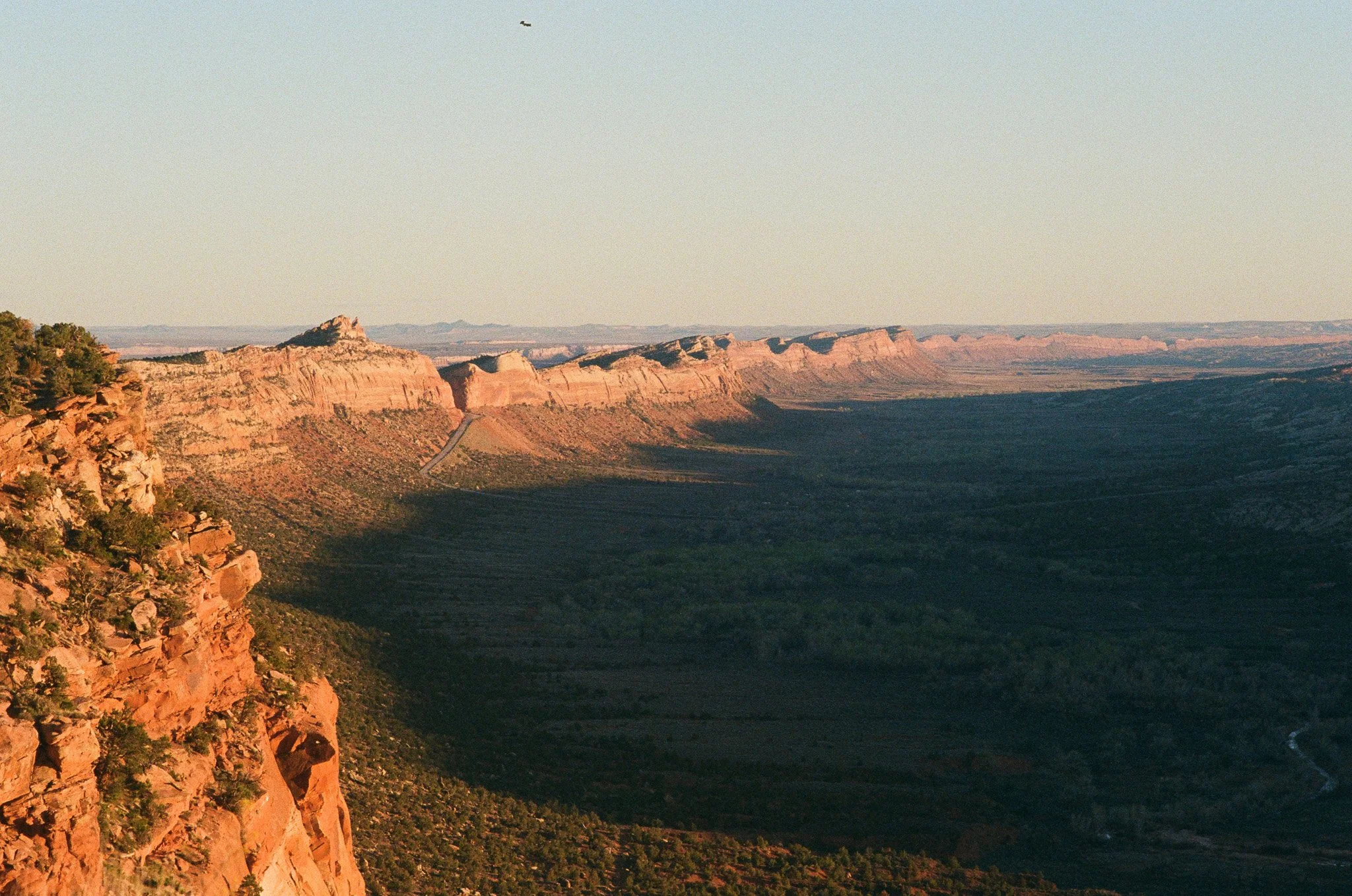 000344870029 (1)-2.jpg