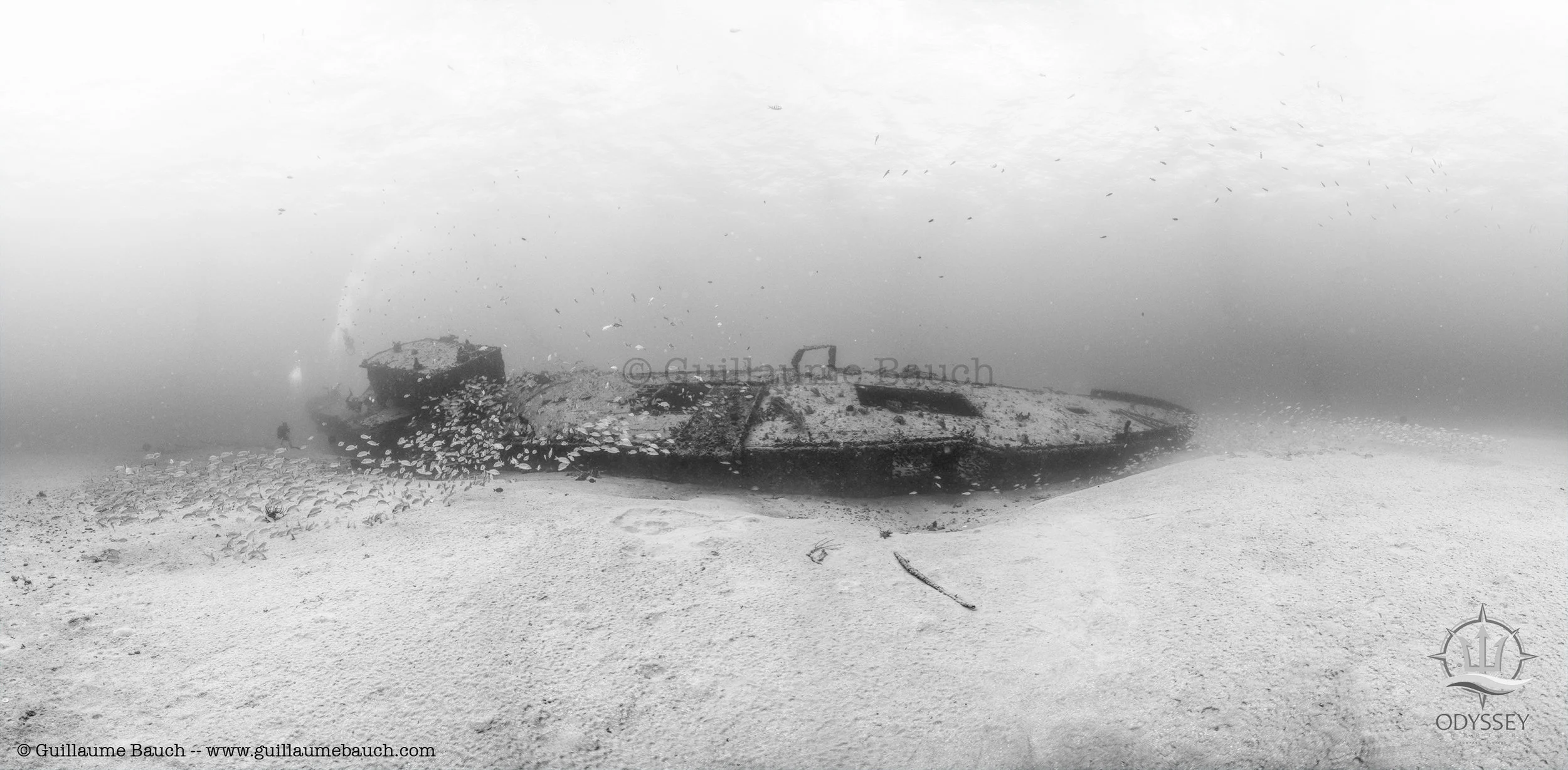 Ancient Mariner Shipwreck
