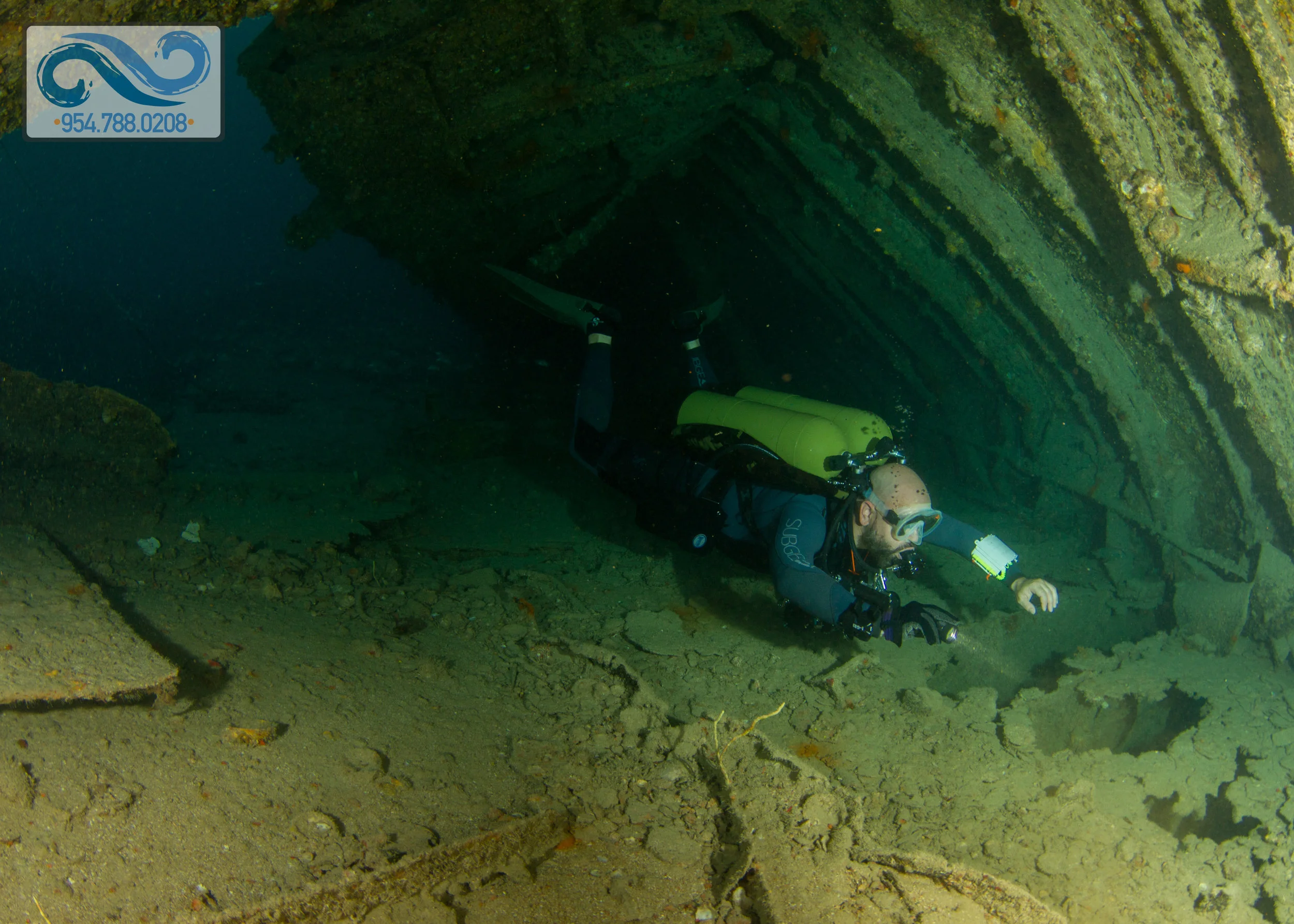 Guy Harvey Shipwreck