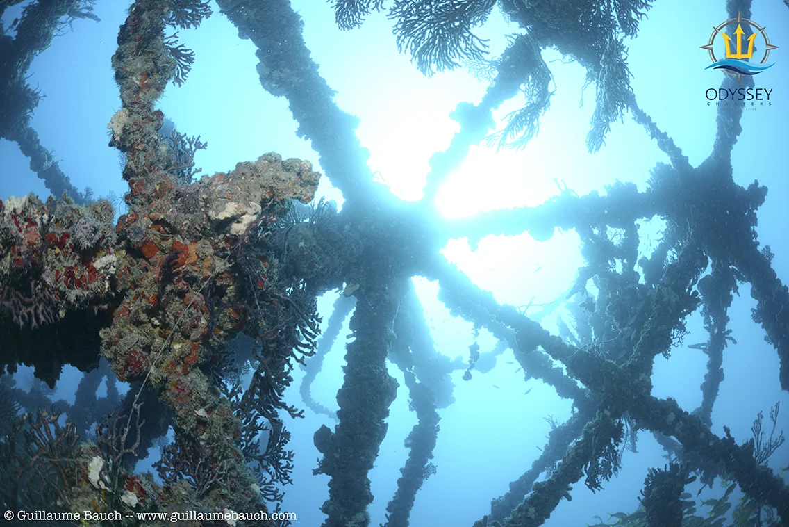Hog Heaven Artificial Reef