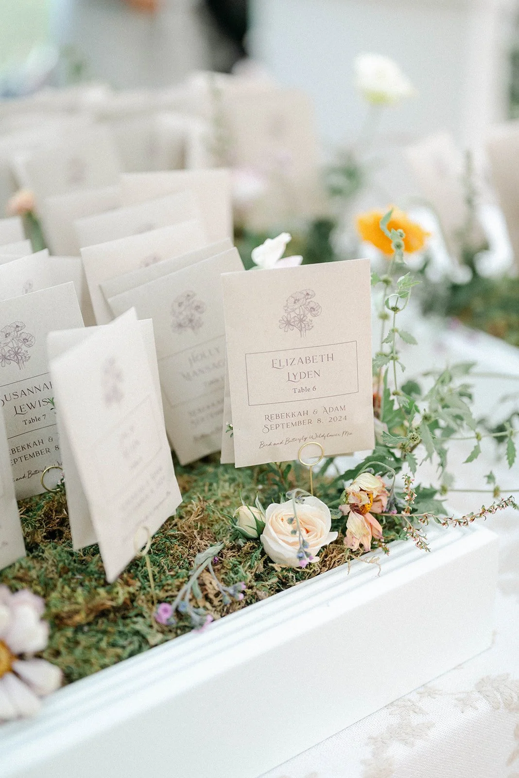 Historical Open-air Blooms