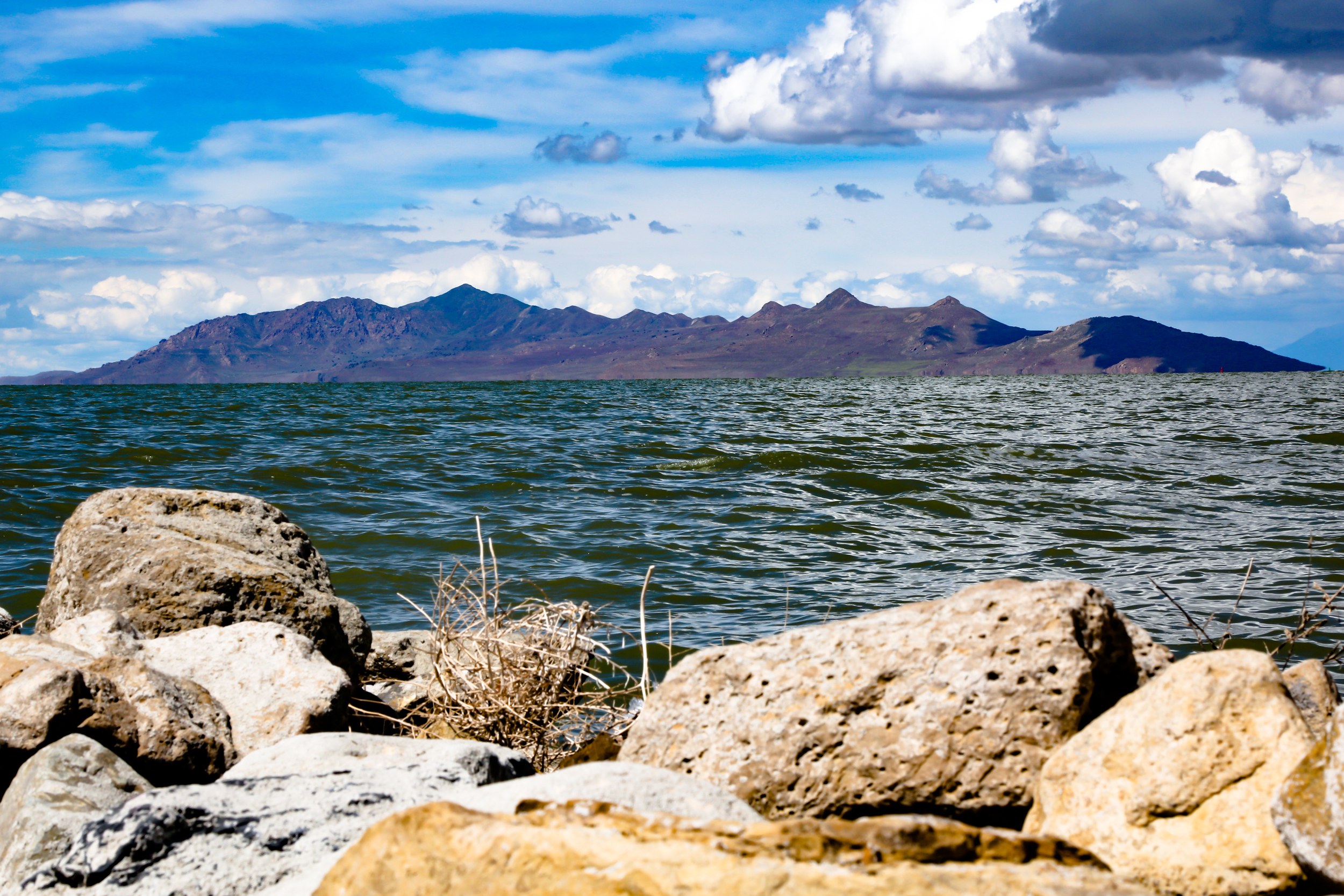 The Great Salt Lake is about 30 minutes from the city center.