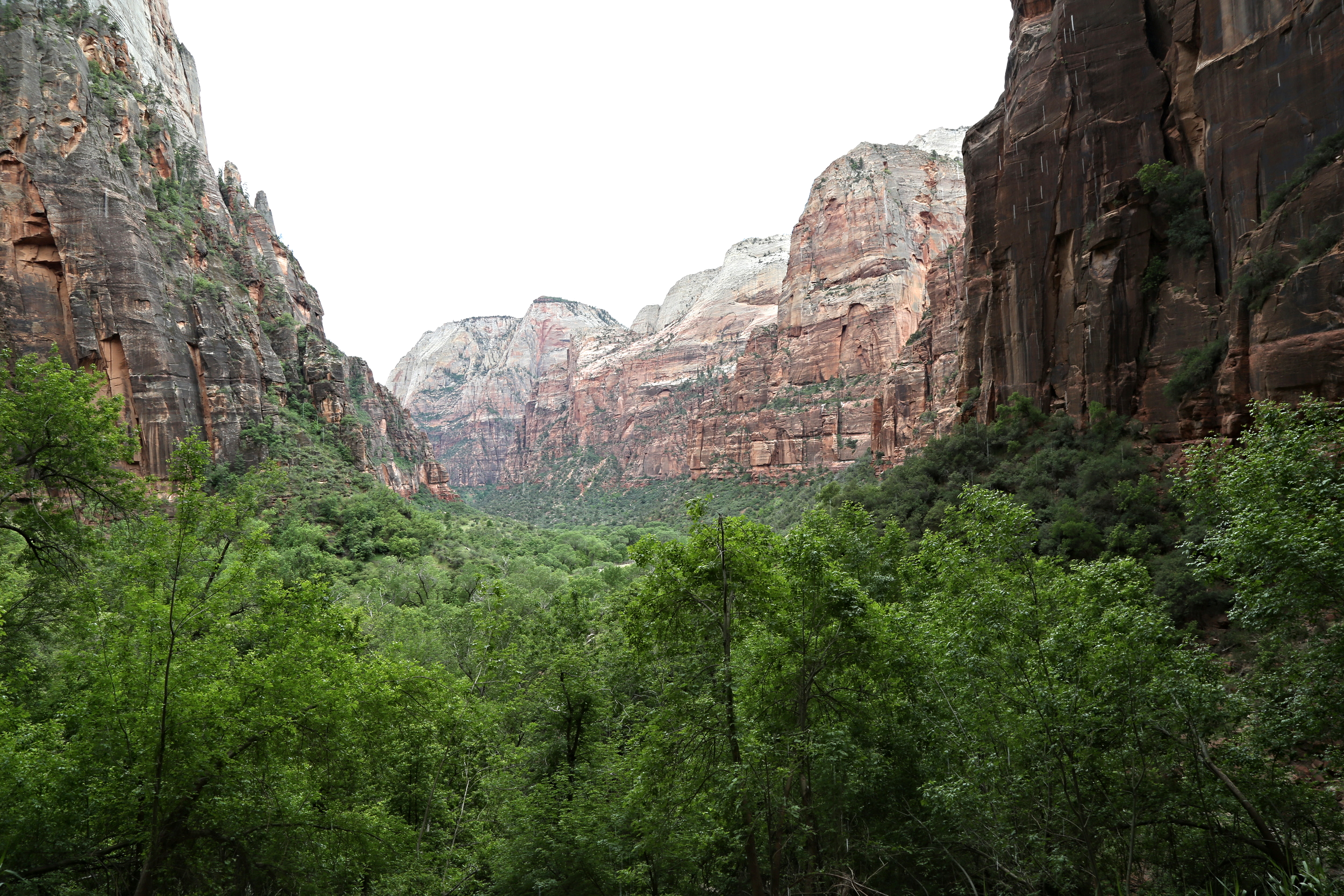 There are loads of hiking trails to explore at Zion National Park that vary in difficulty.