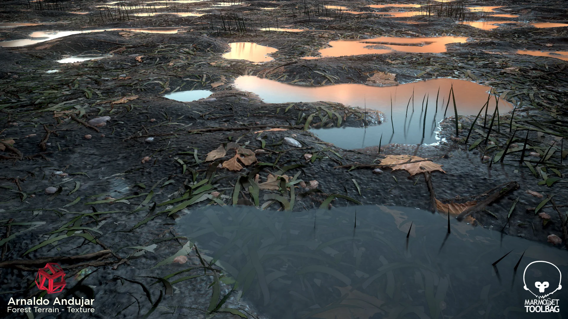 Forest_Terrain_Screenshot_03.jpg
