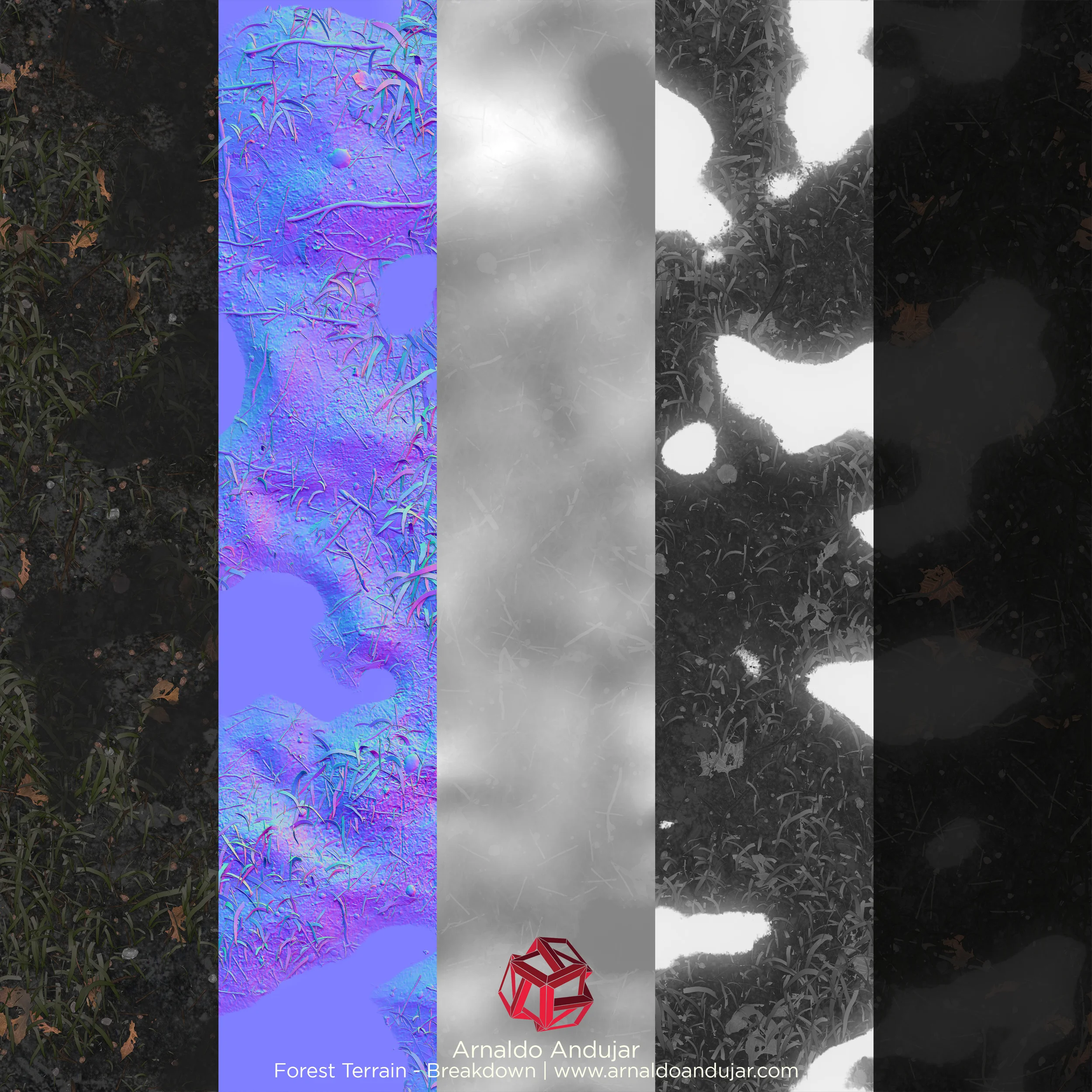 Forest_Terrain_Texture_Breakdown_02.jpg