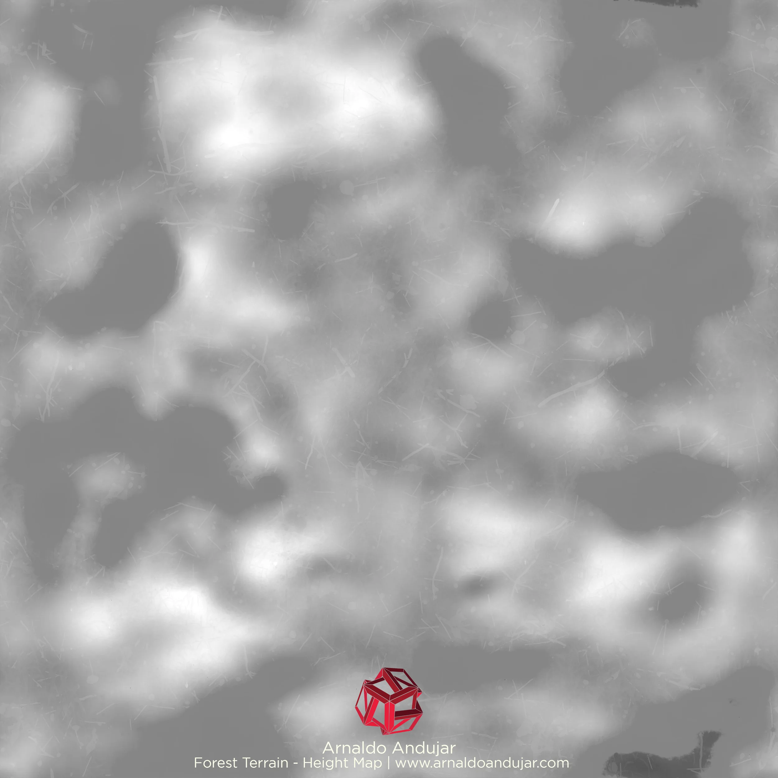 Forest_Terrain_Texture_Height_02.jpg