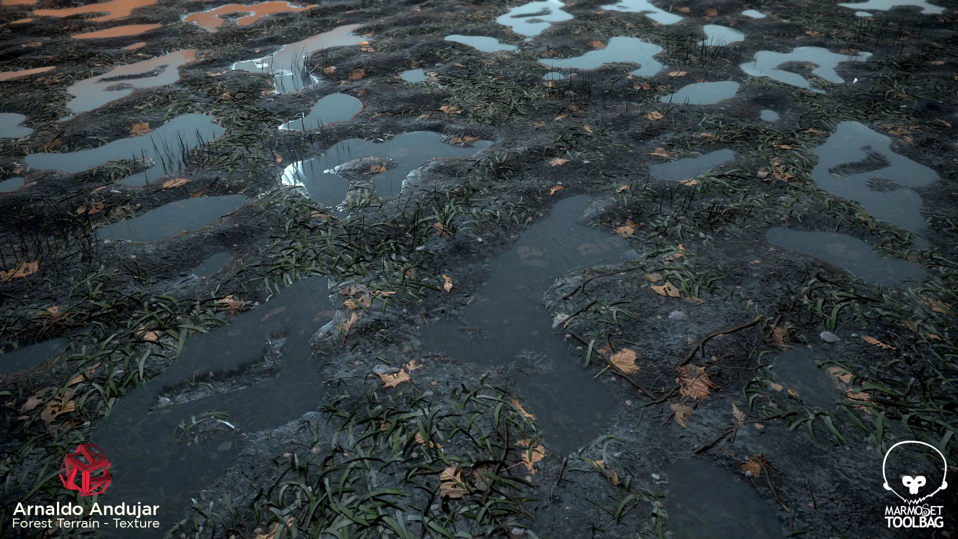 Forest_Terrain_Screenshot_02.jpg