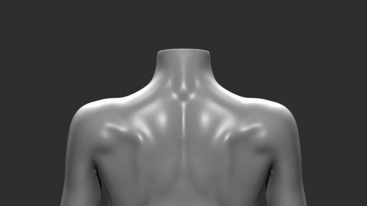 Female_Anatomy_03.gif