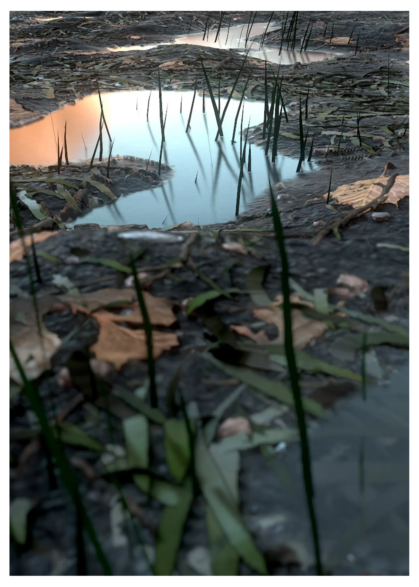 Forest_Terrain_01.jpg
