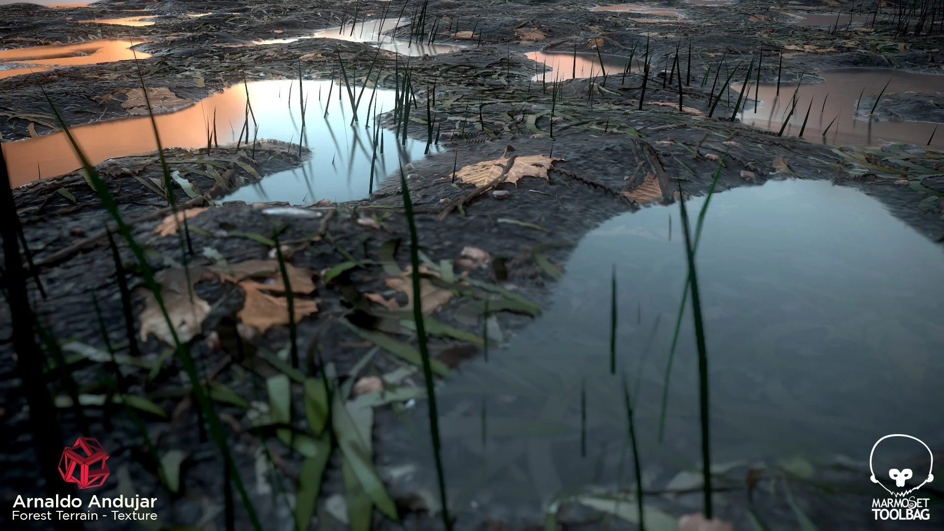 Forest_Terrain_Screenshot_01.jpg