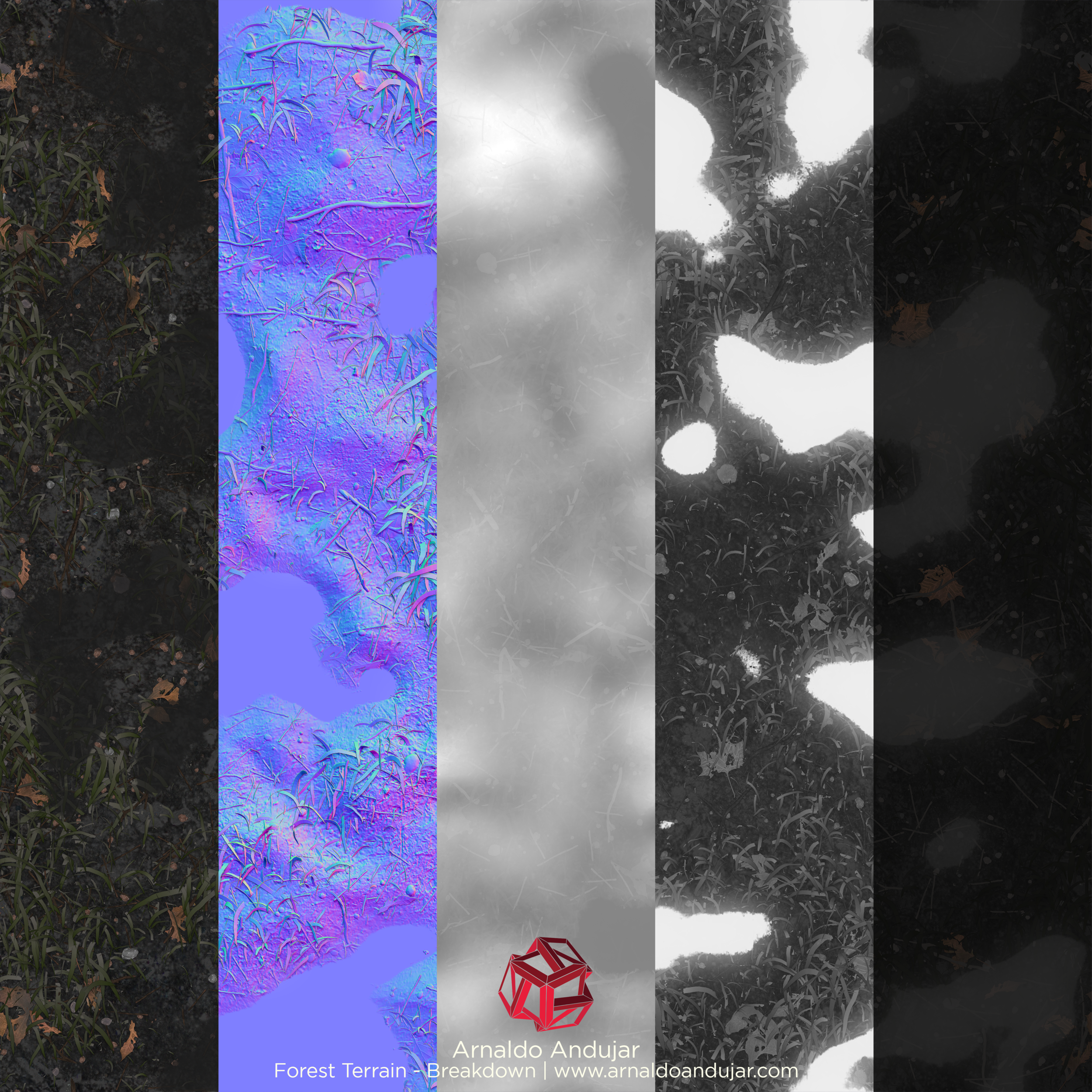 Forest_Terrain_Texture_Breakdown_02.png