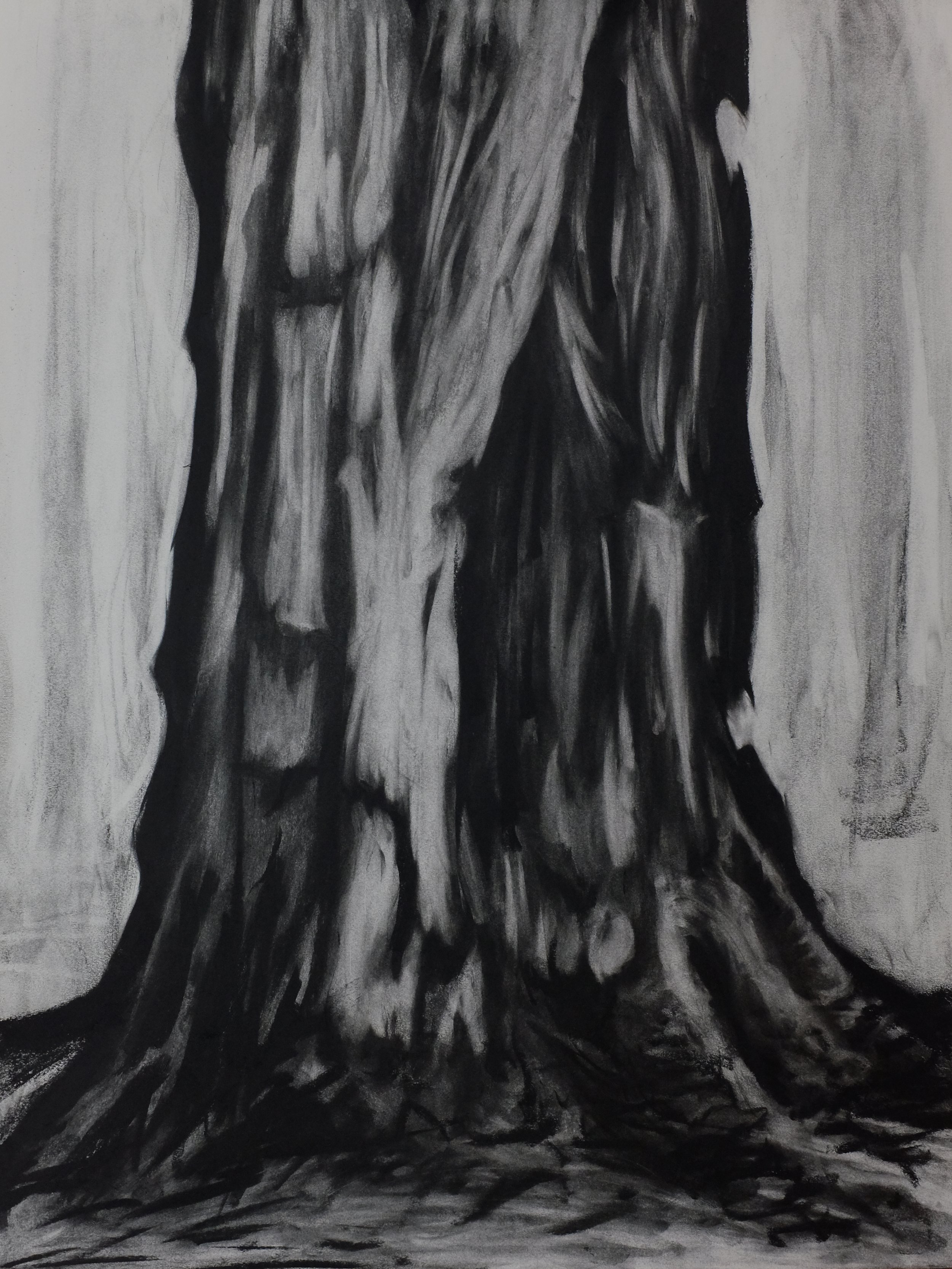 Charcoal Bark Portrait 02