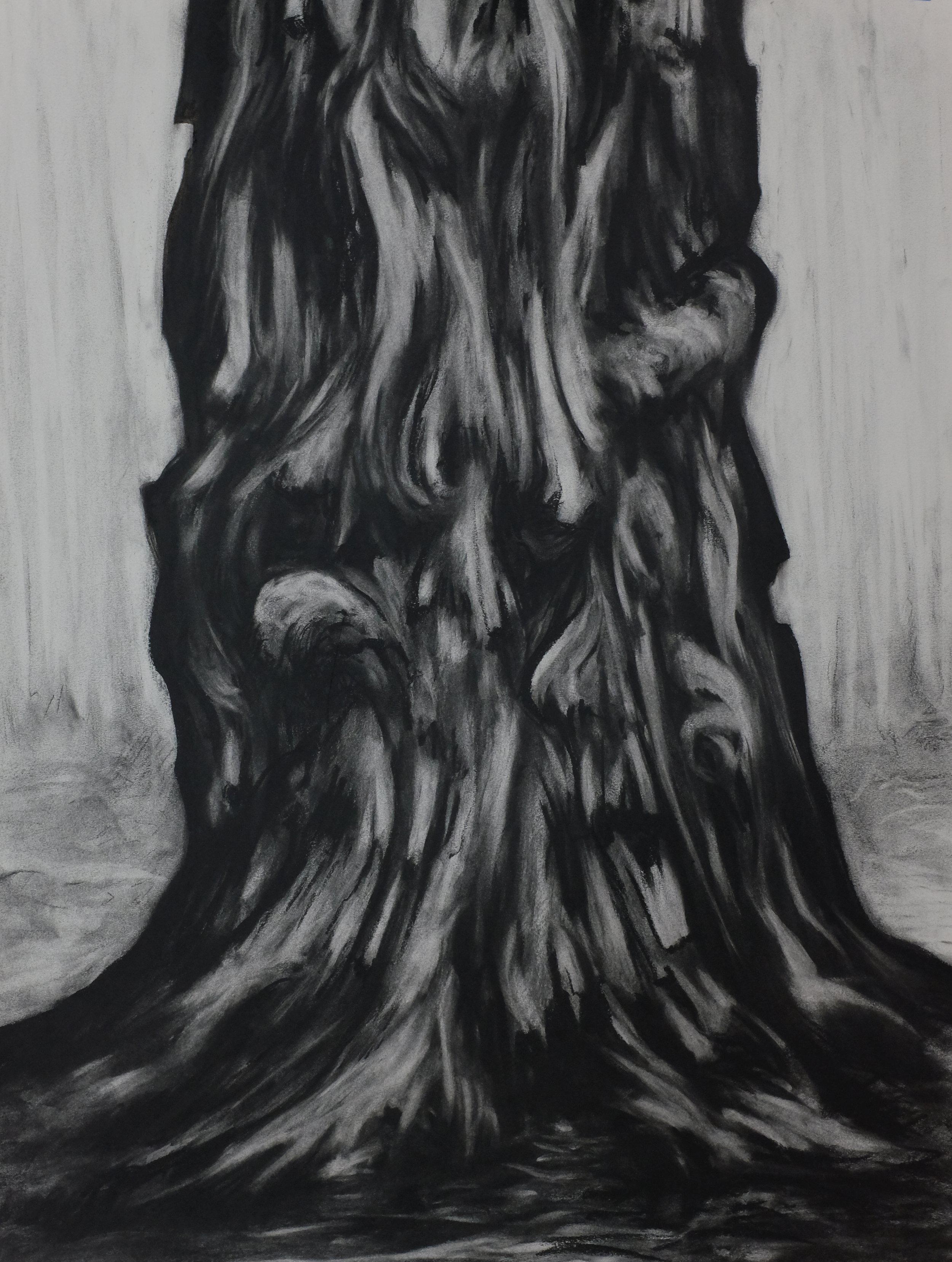 Charcoal Bark Portrait 03