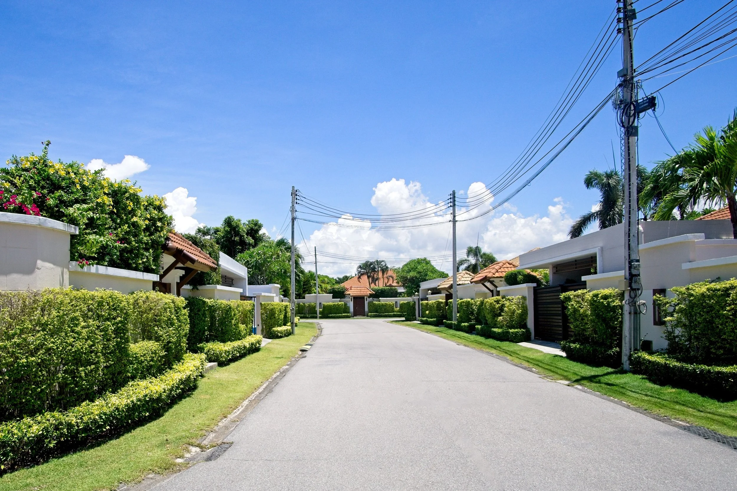 20200719-13.JPG