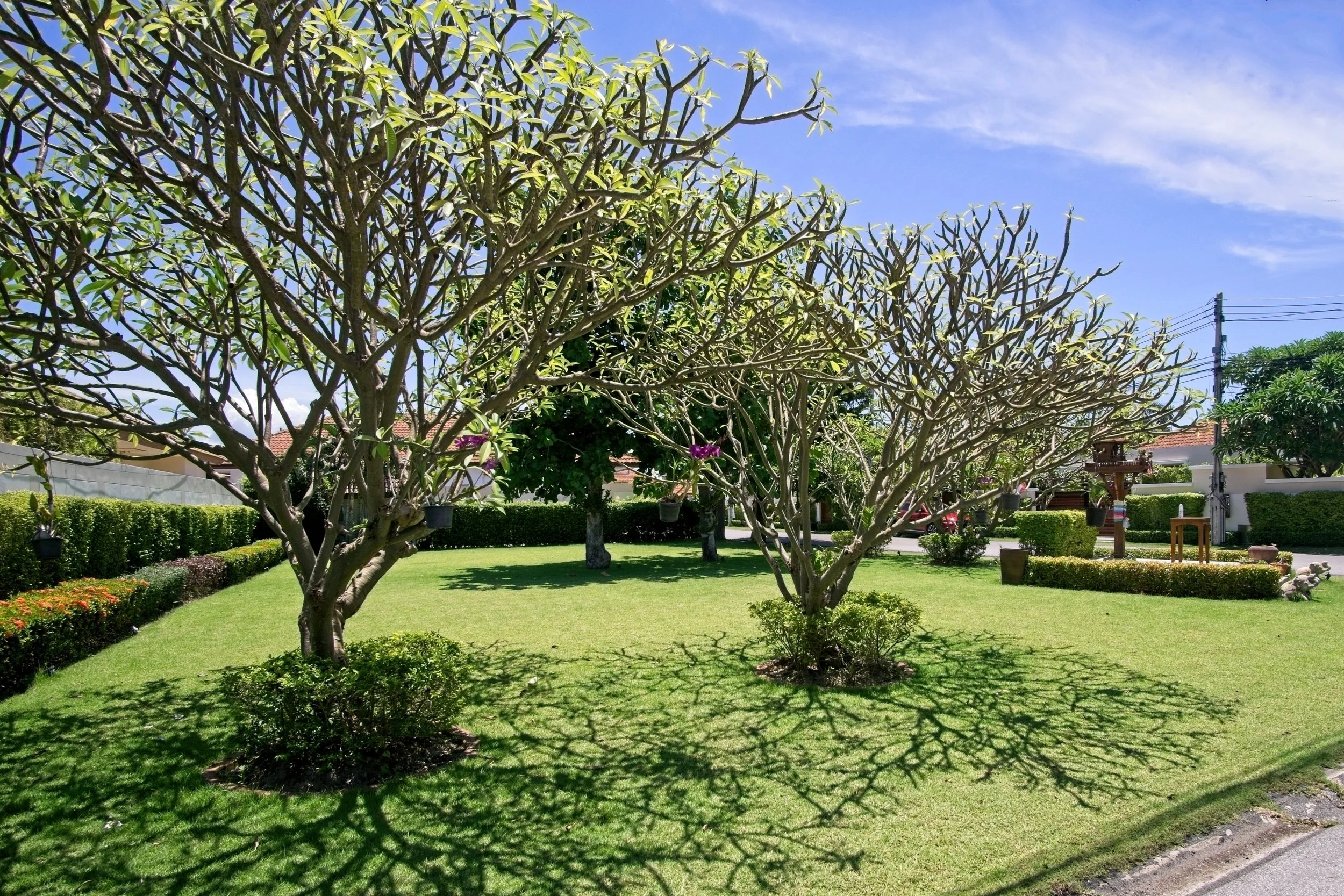 20200719-25.JPG