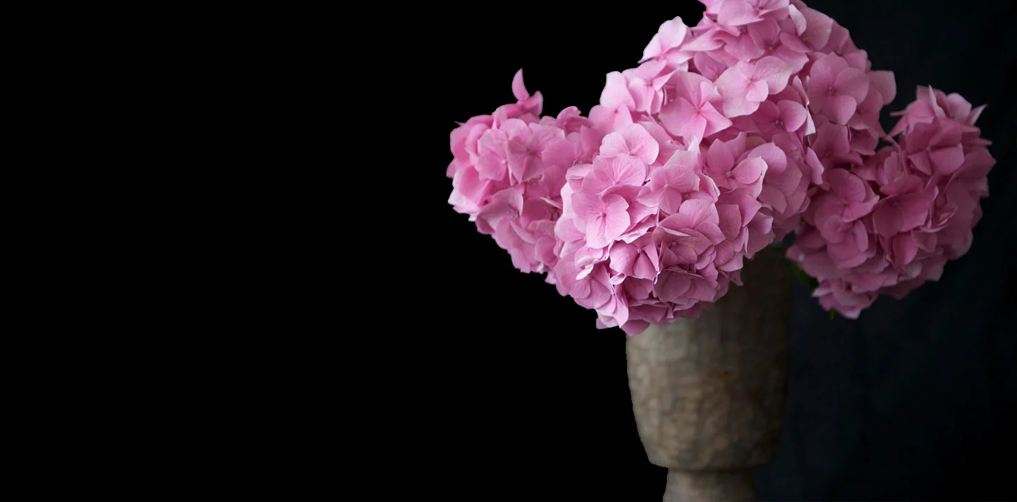 nj-everyday-flowers.jpeg
