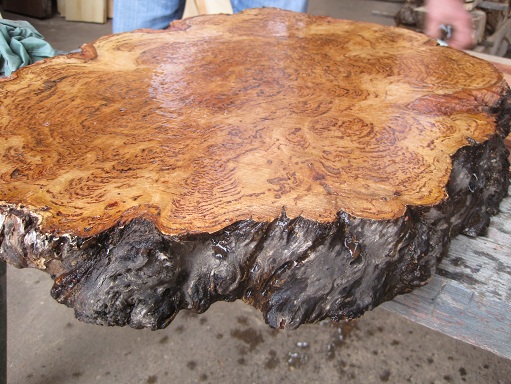 Tassie Oak crosscut slab