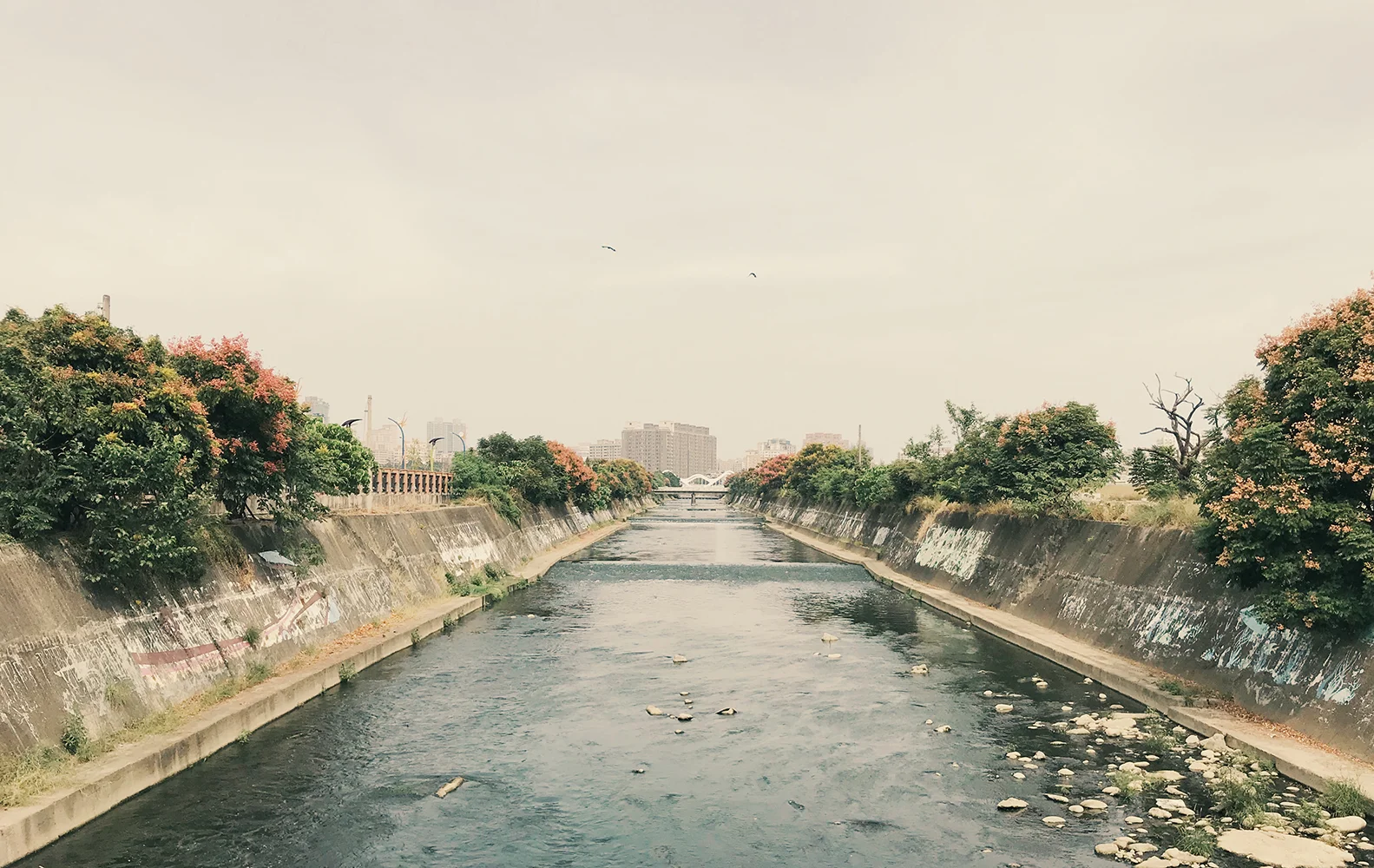 Taichung2.jpg