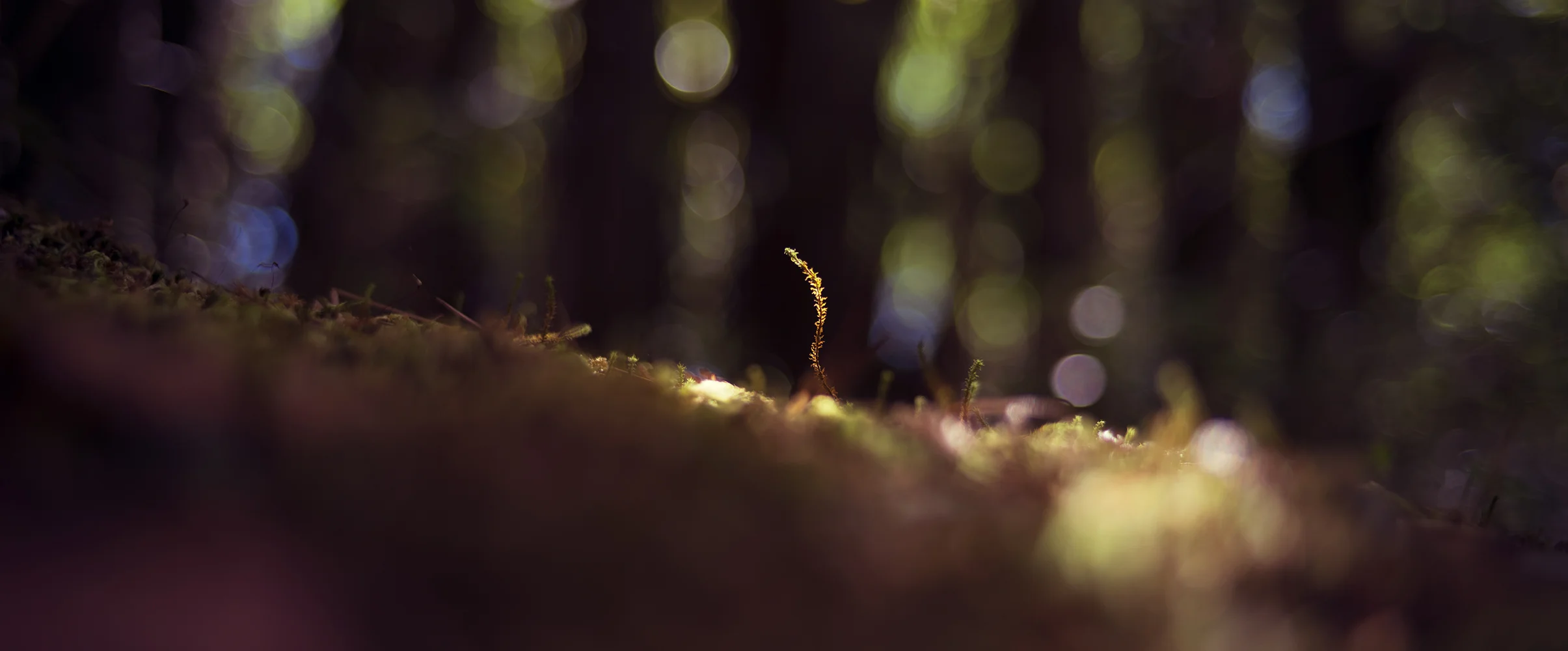 HJ_00161.jpg